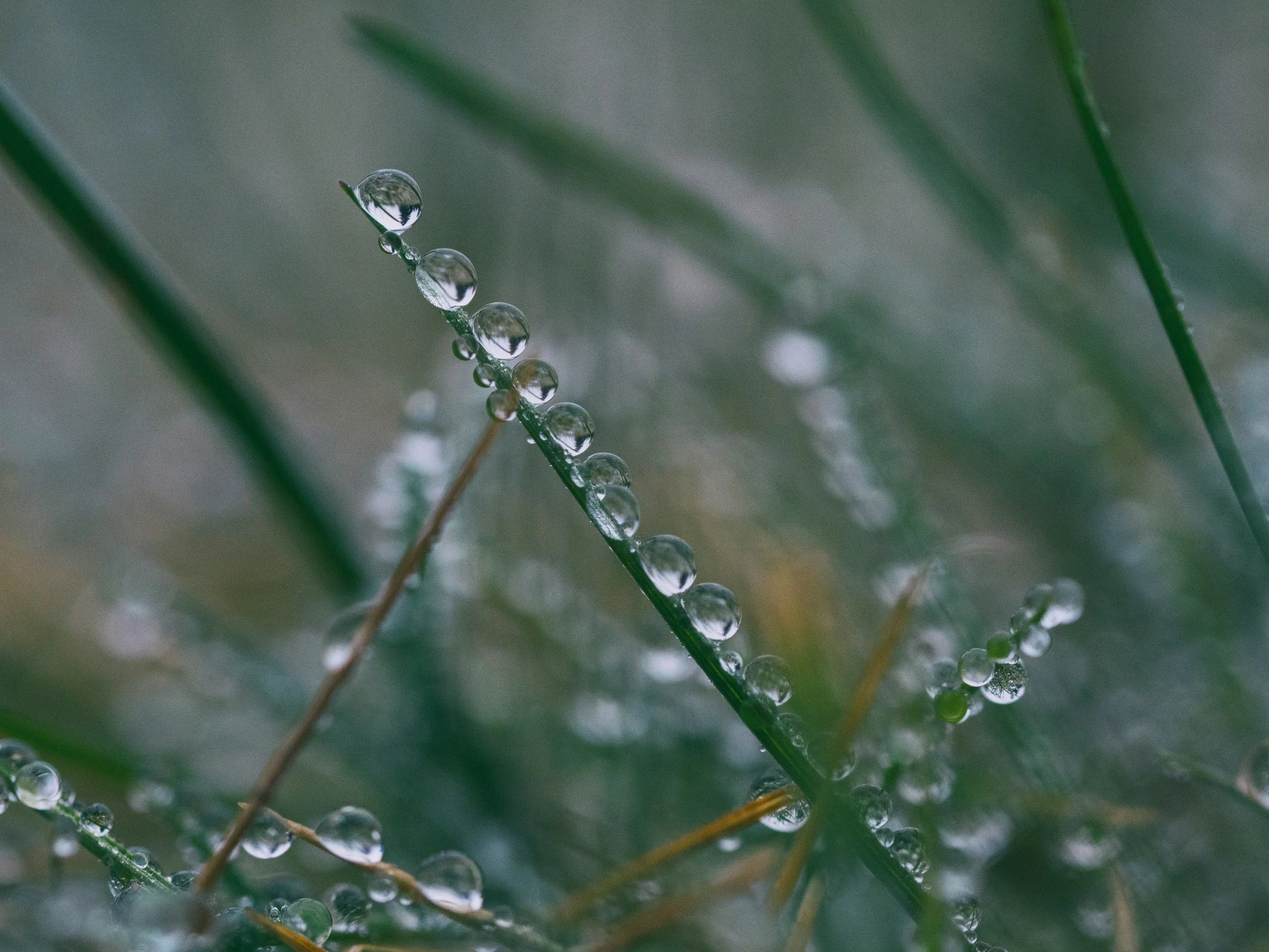 Why do I feel depressed when it is dark? How Seasonal Depression Shows Up and How You Can Support Yourself