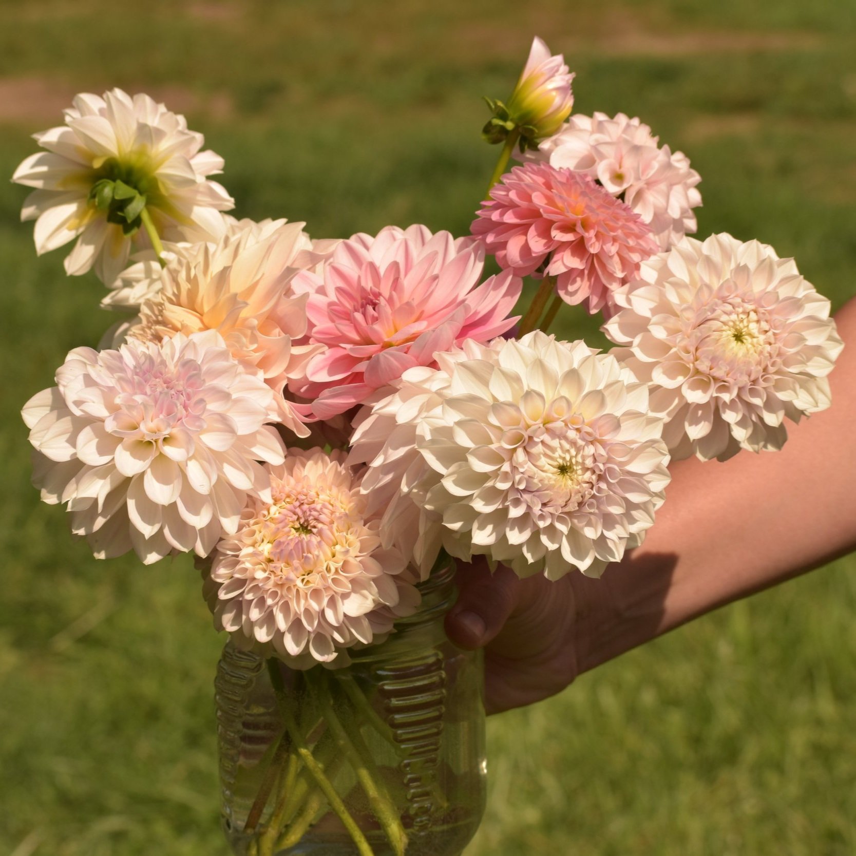 Blush+Colors1.jpg
