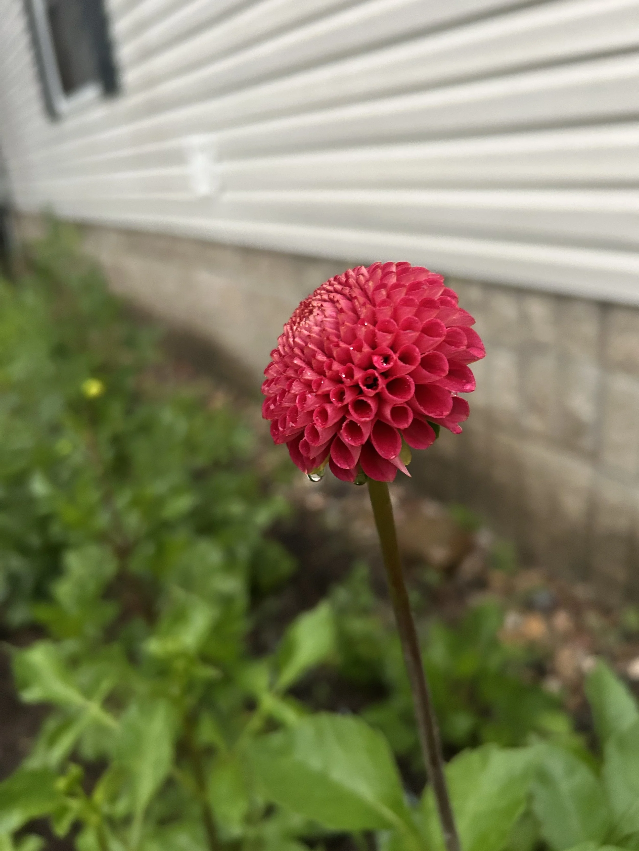 IMG_1522.jpeg