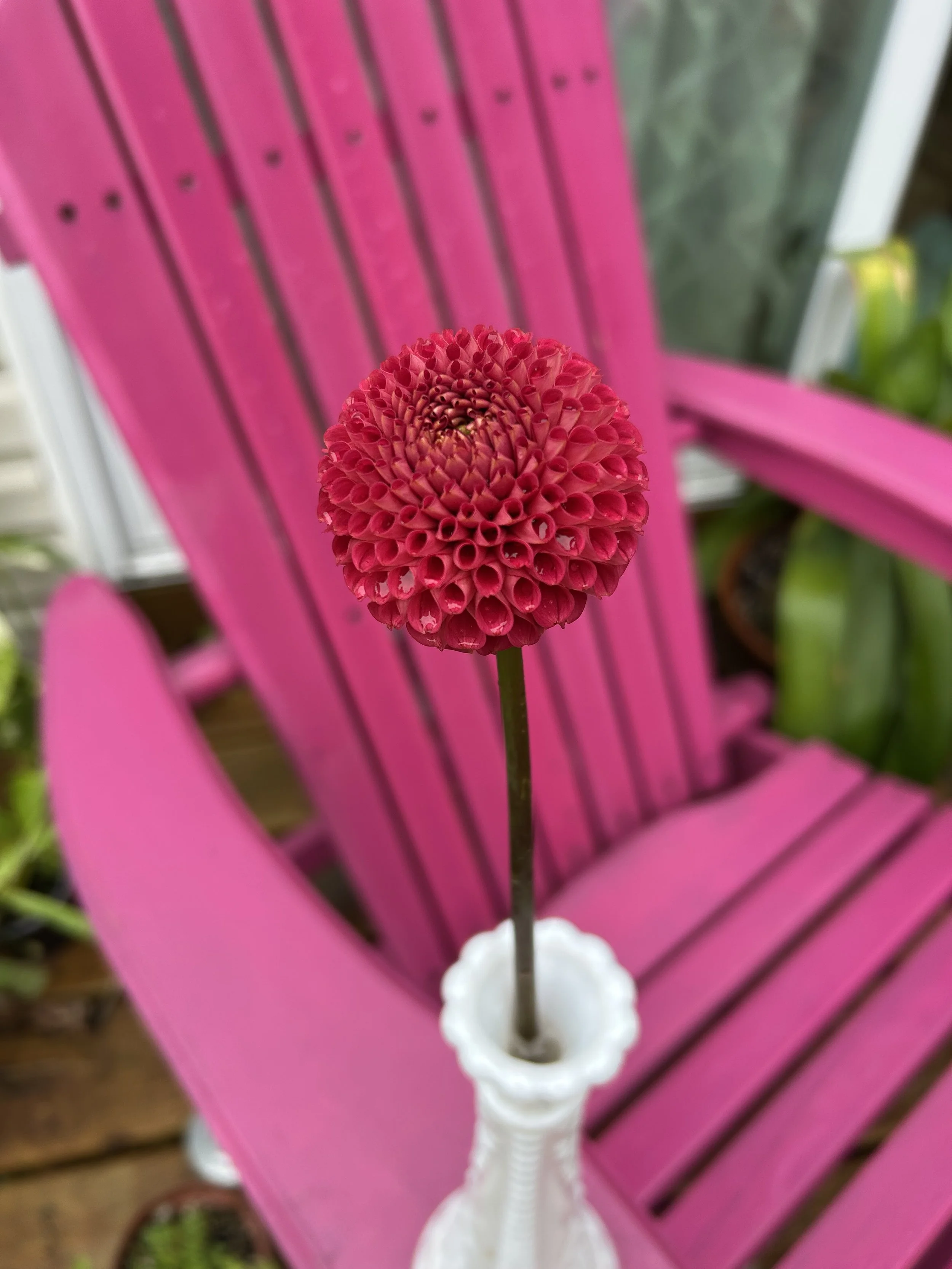 IMG_1543.jpeg