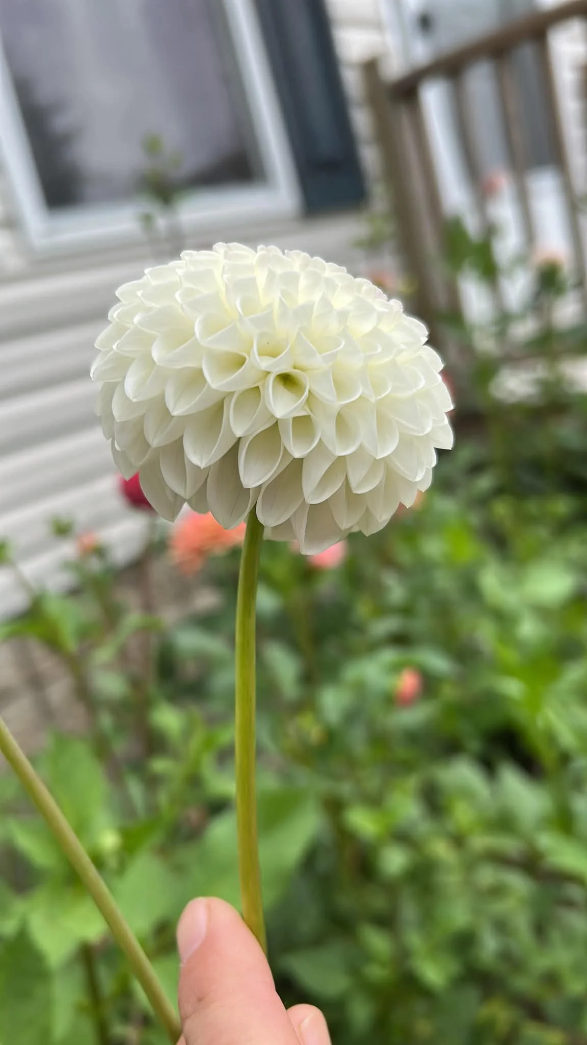 32e638476b28ce74d70952ff4c76c183.jpeg