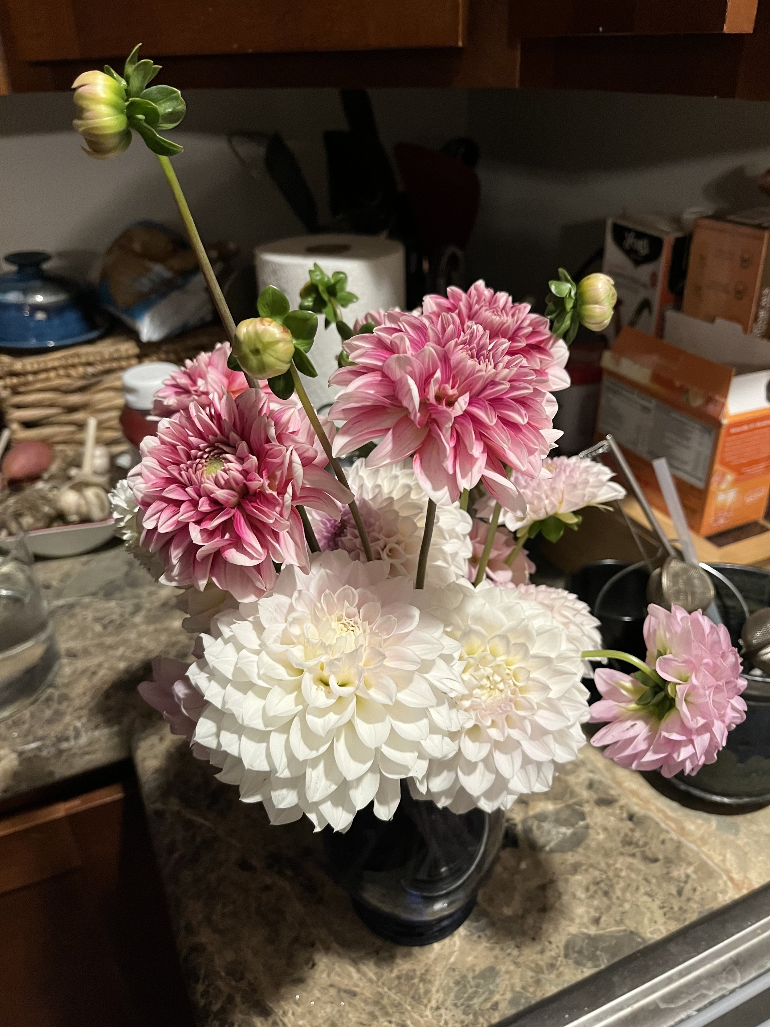 IMG_1275.jpeg