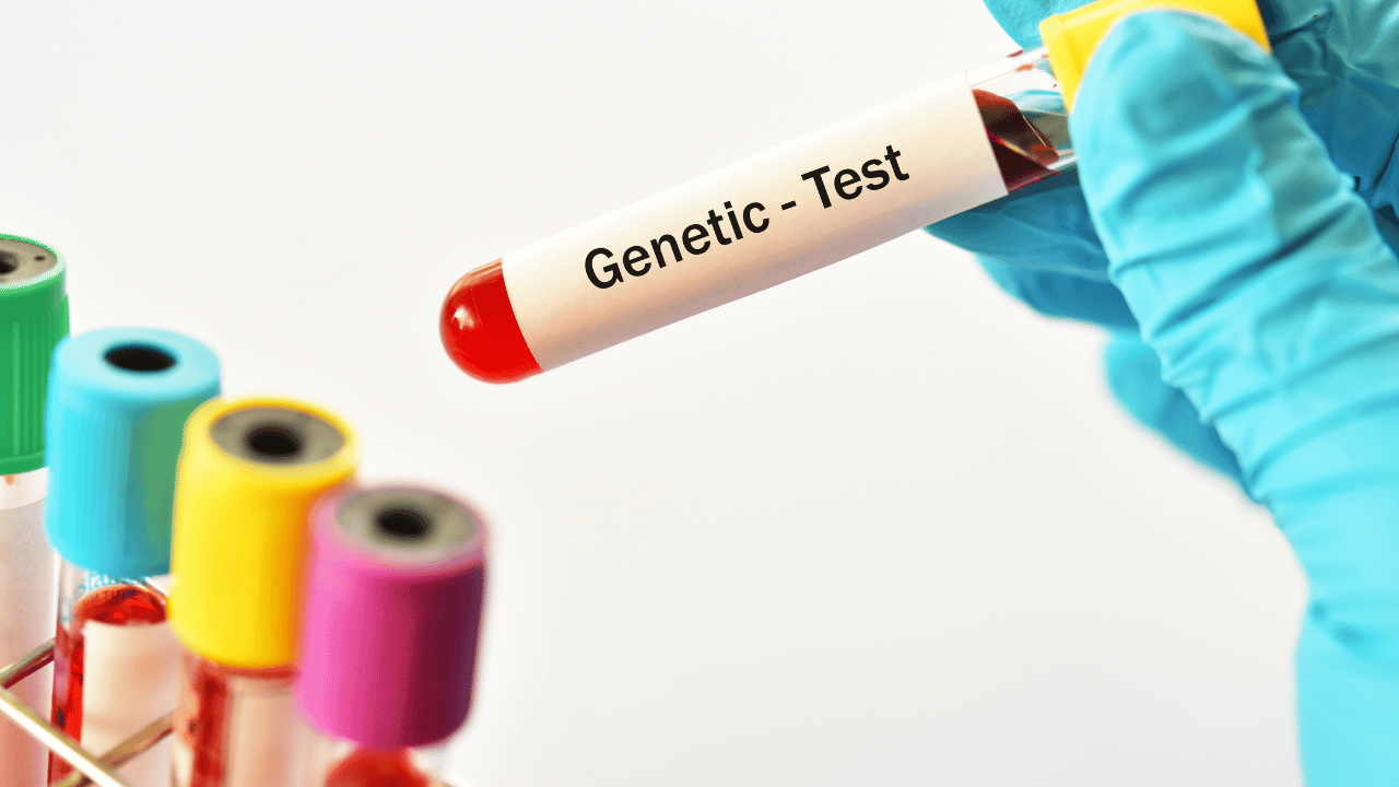 What the Testing Process Involves