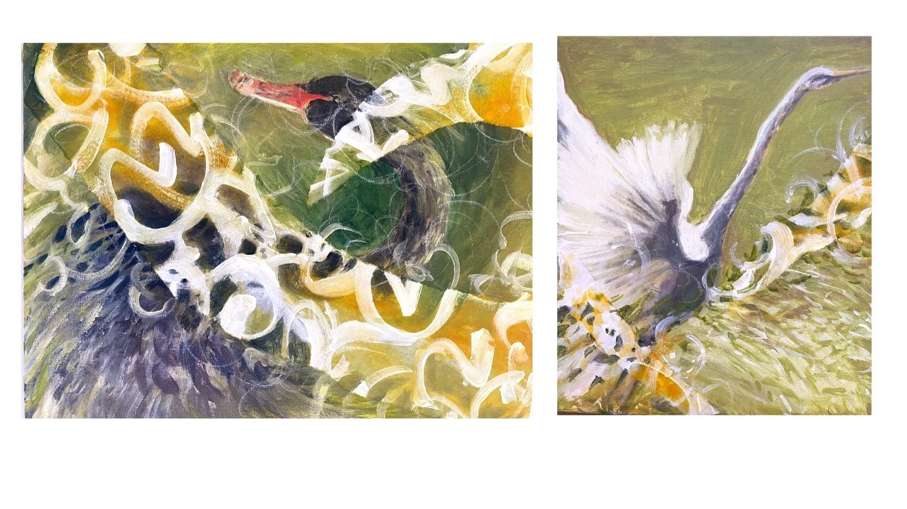 Birds