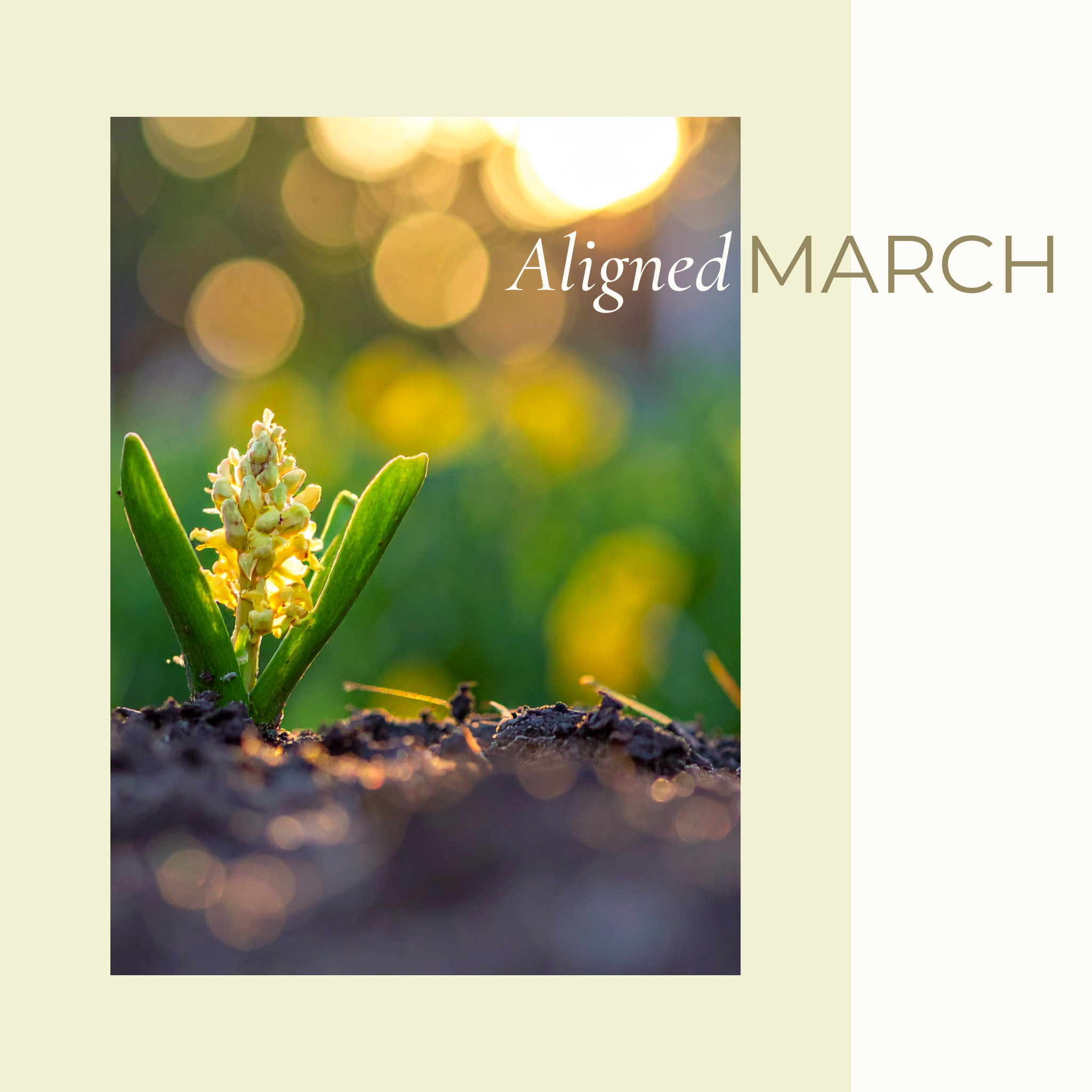 Aligned March 2026