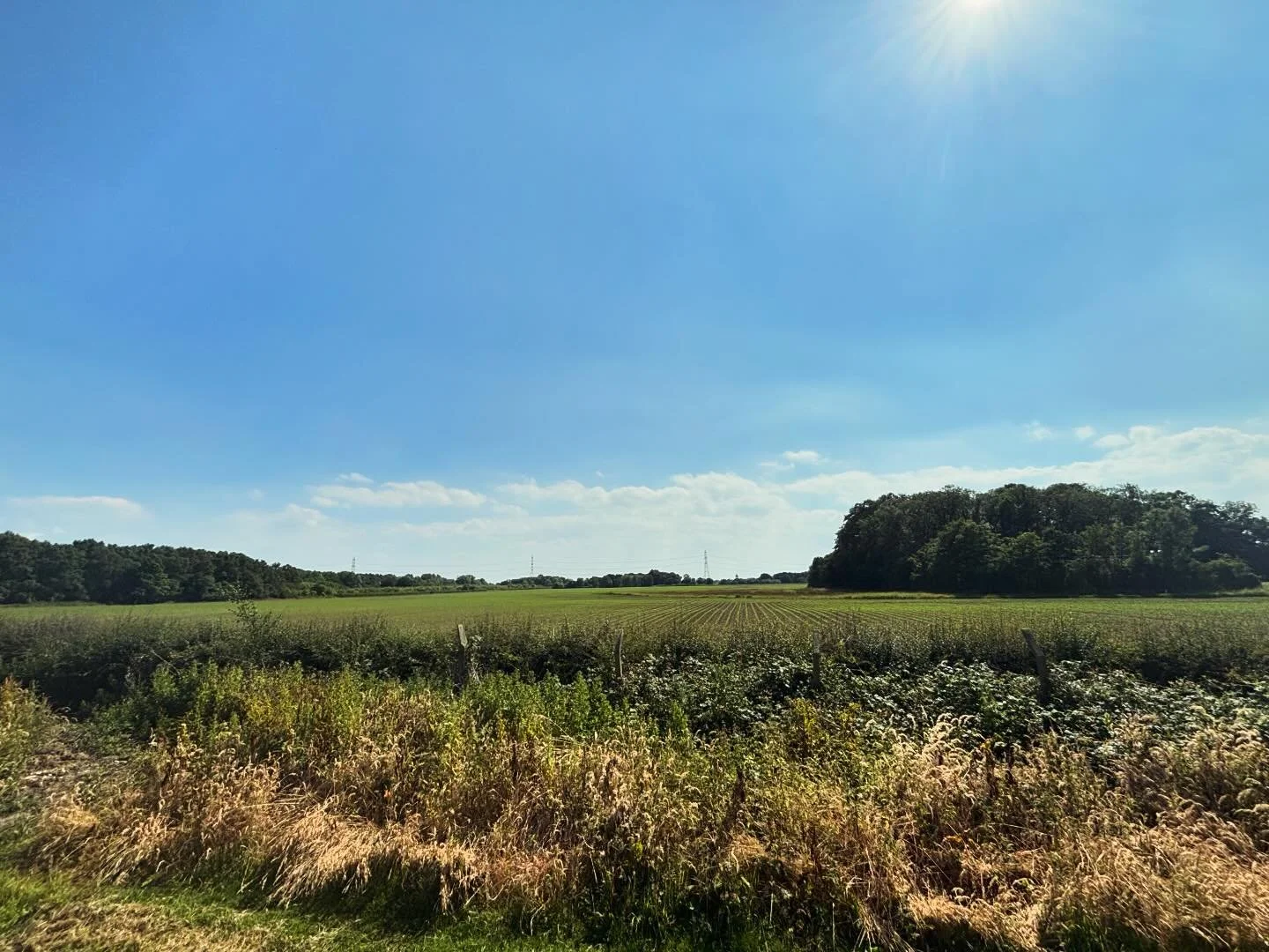Beautiful weather! We were in Tenerife a few weeks ago. I think it&rsquo;s warmer here. ☀️🔥🥵