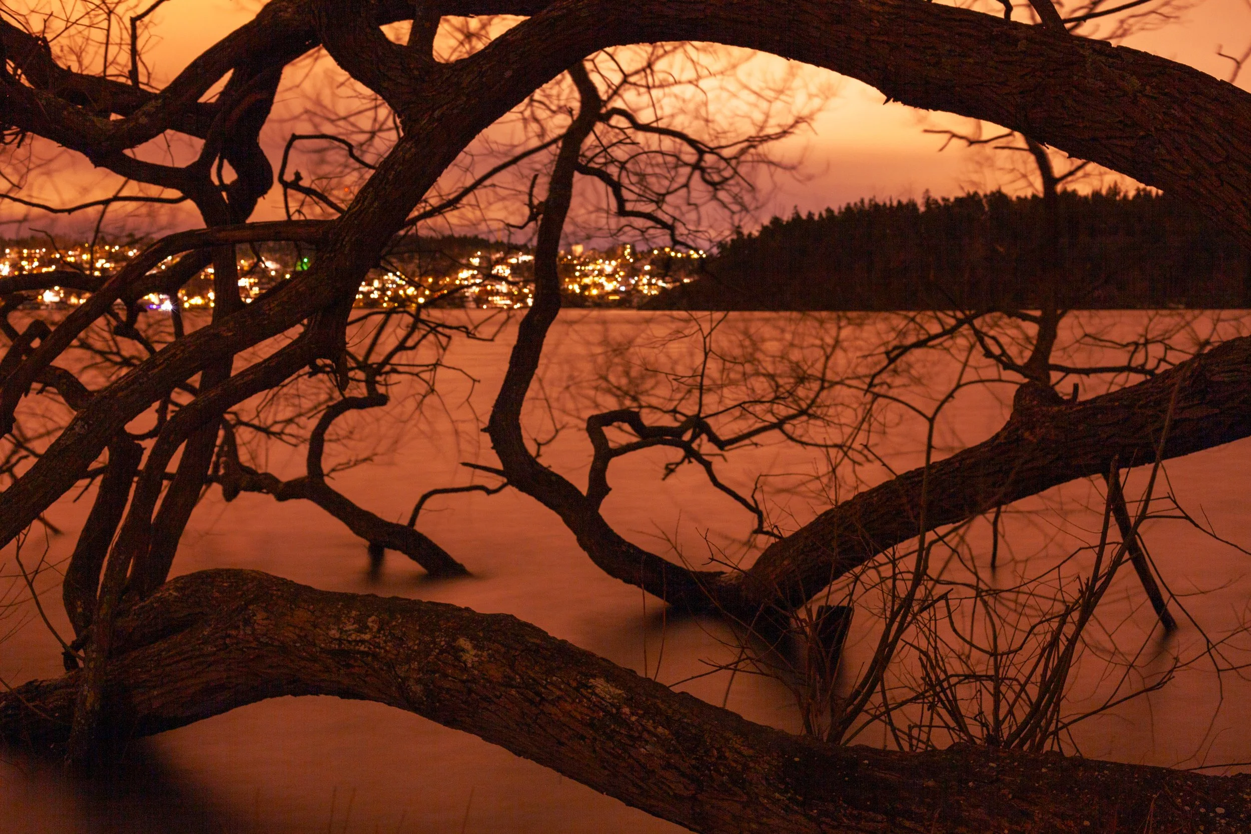 blacklight-15.jpg