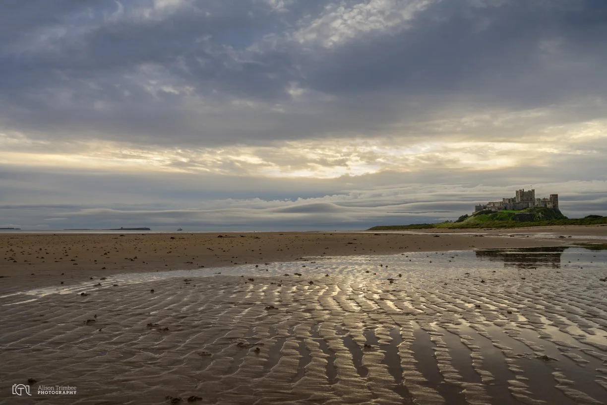 Sand Ripples 