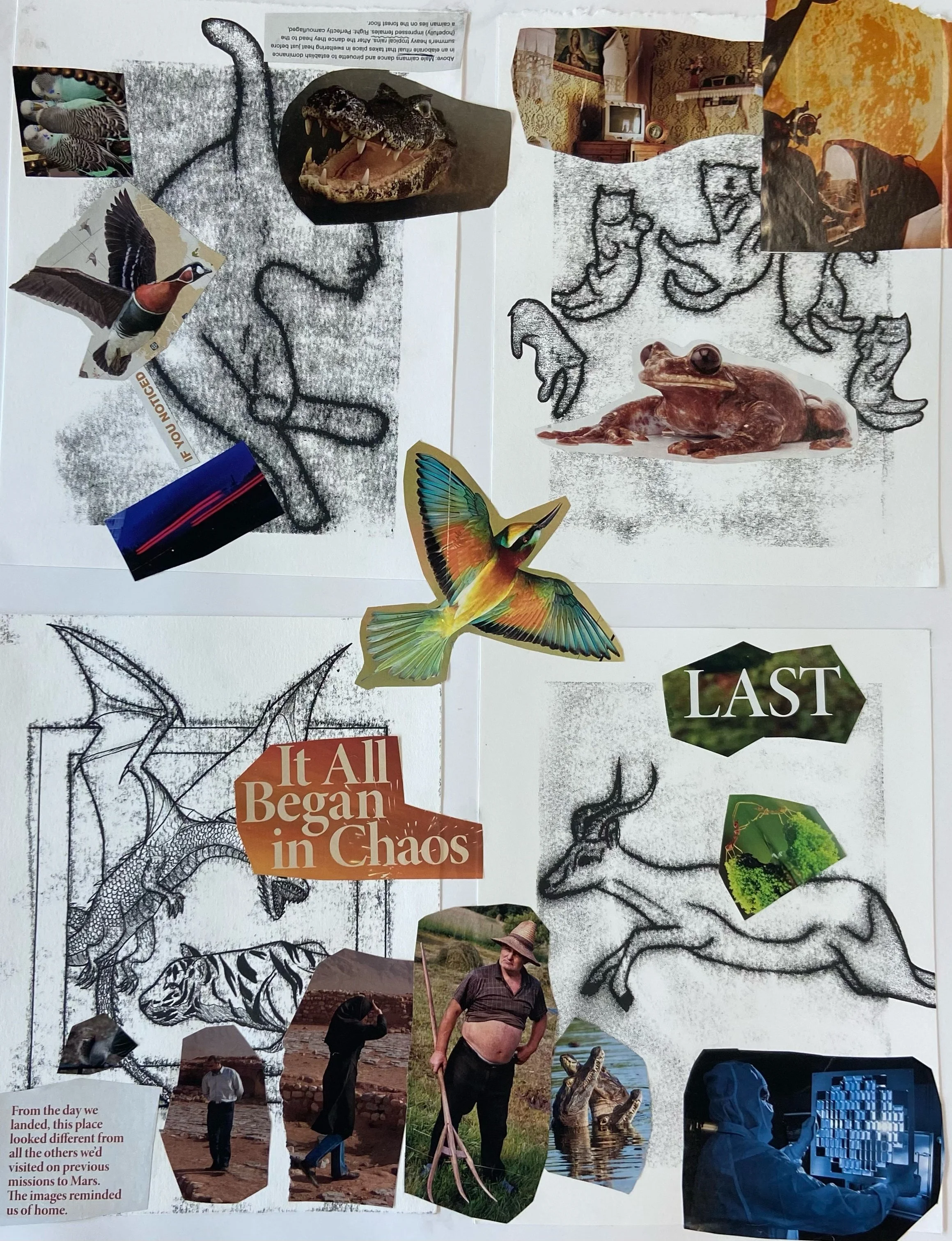 Printmaking Collage