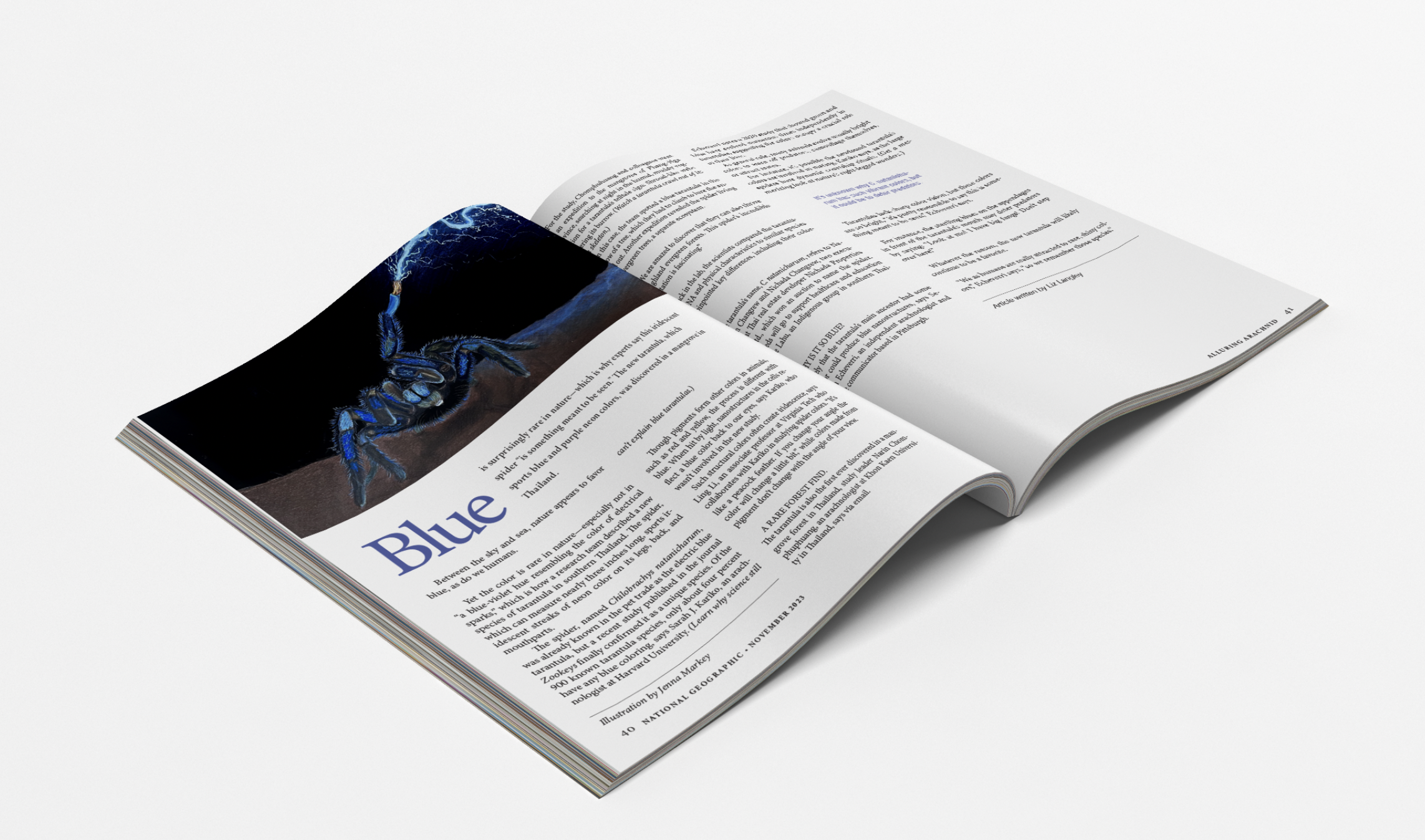 Editorial Illustration: Electric Blue Tarantula