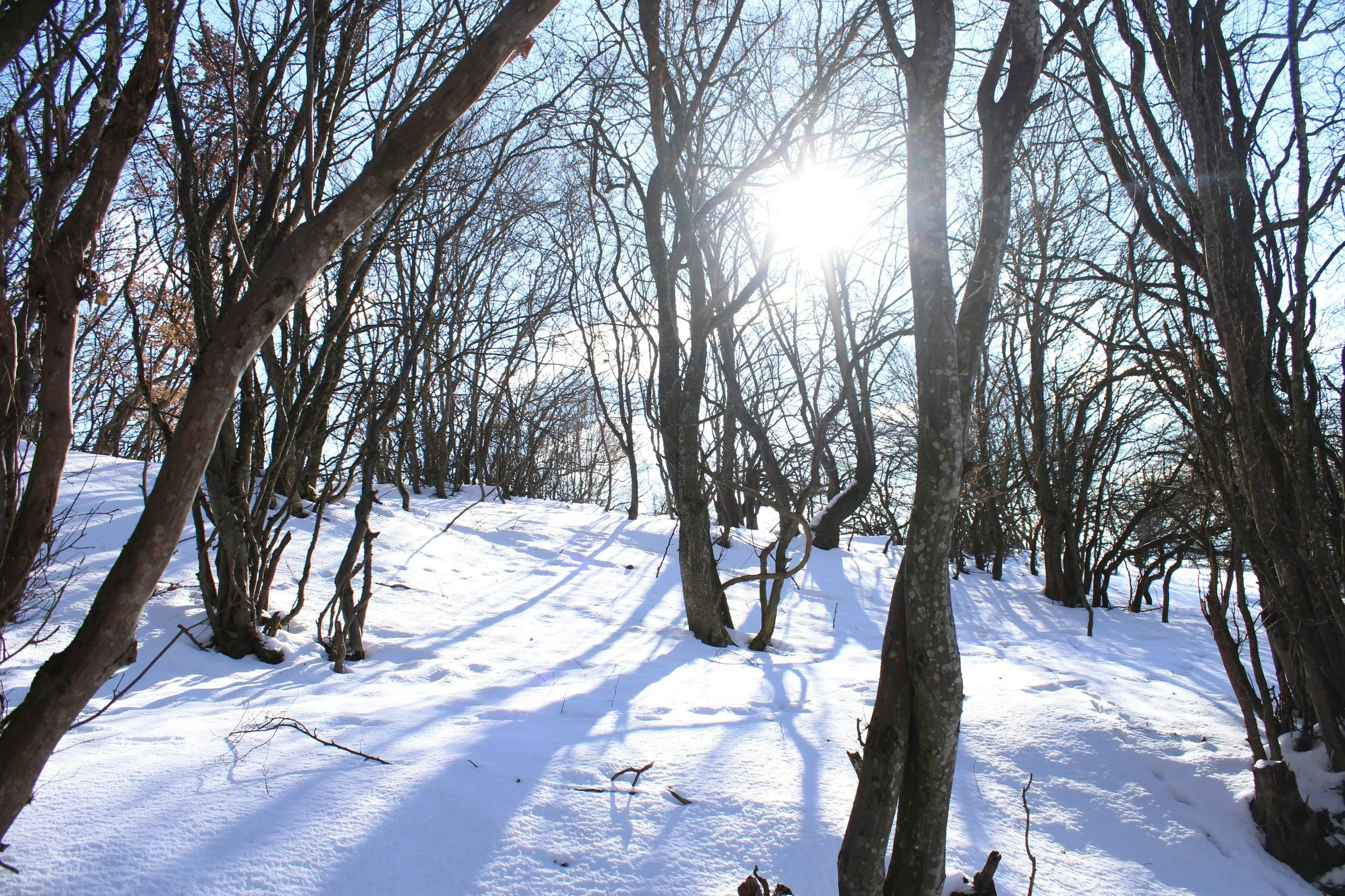 Winter &amp; Remembering Our Connection