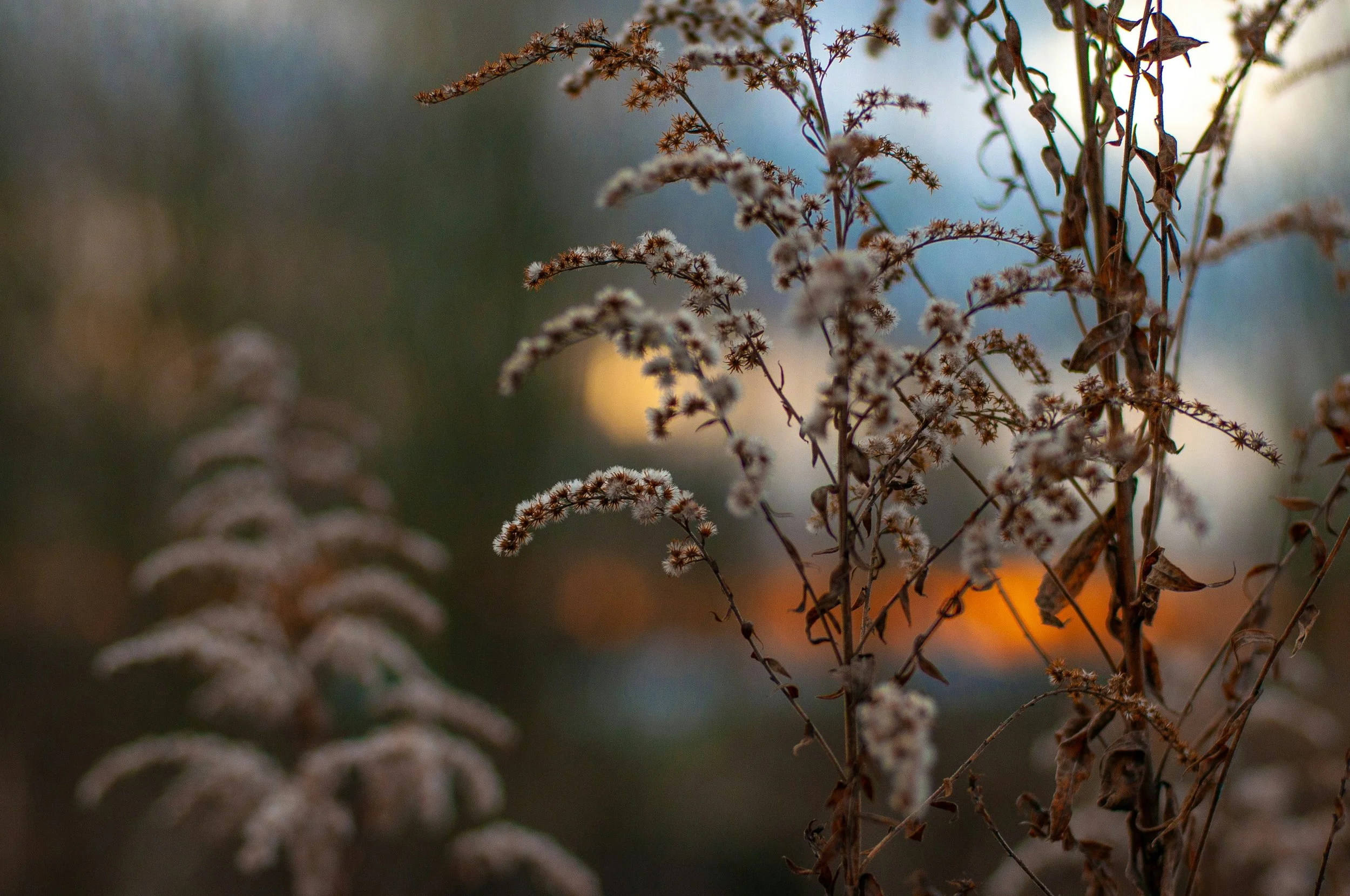 Yoga Nidra: A Practice of Deep Rest &amp; Inner Awareness