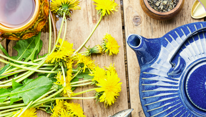 Yoga &amp; Herbalism for Seasonal Change