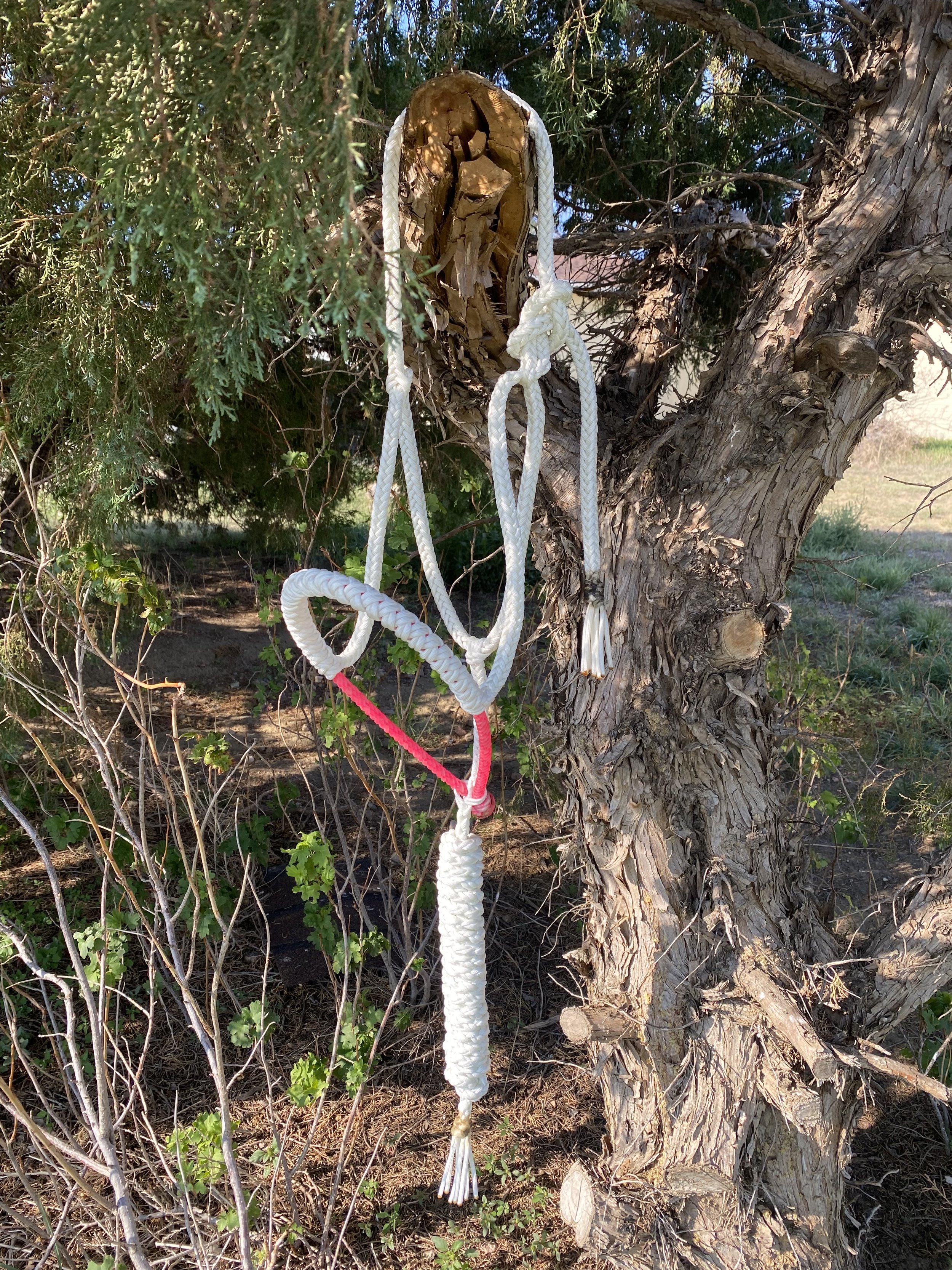 white.pink halter.jpg