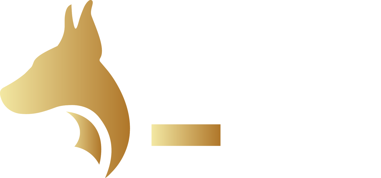 Alpha J Security