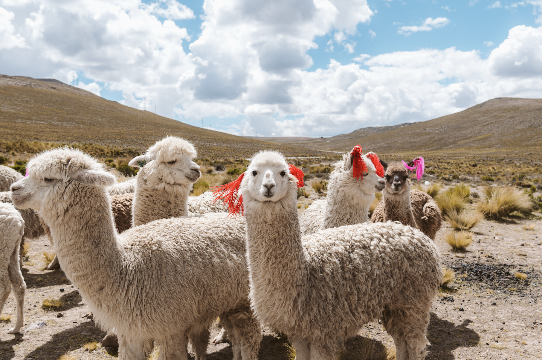 Scherm­afbeelding 2025-12-02 om 14.33.21.png