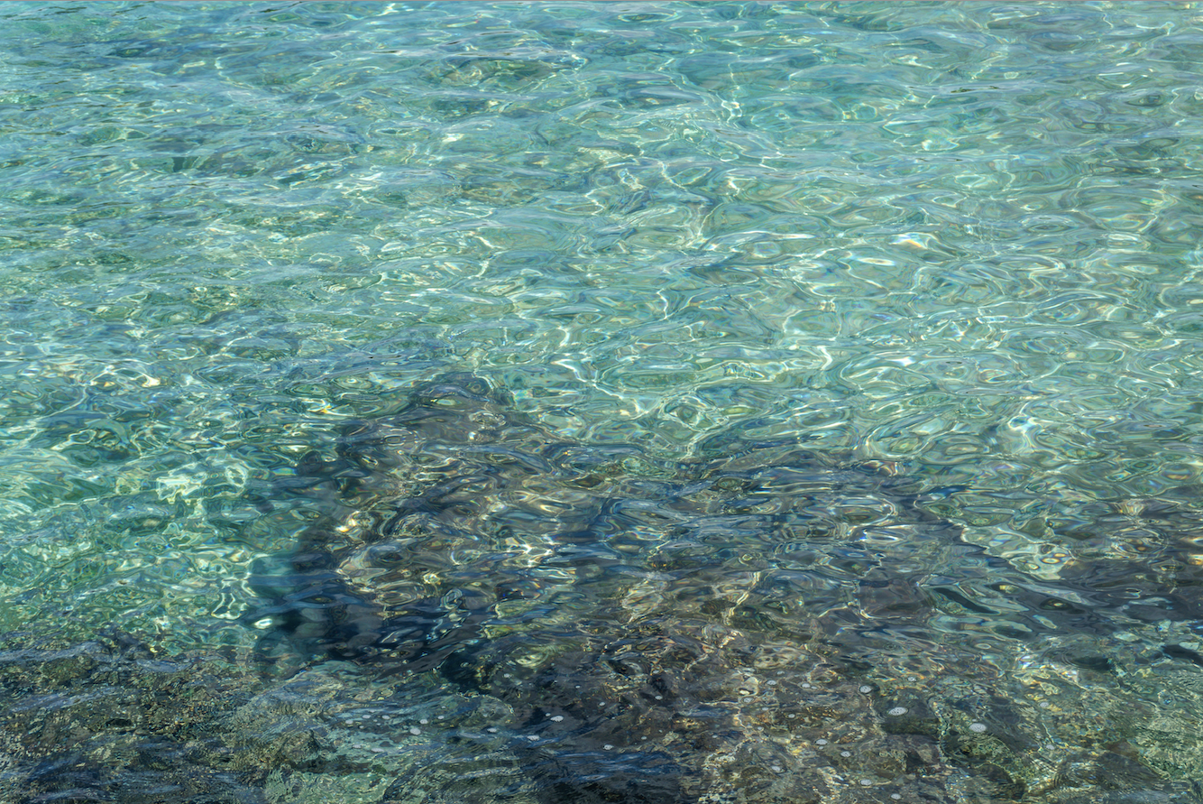 Scherm­afbeelding 2025-12-01 om 17.01.35.png