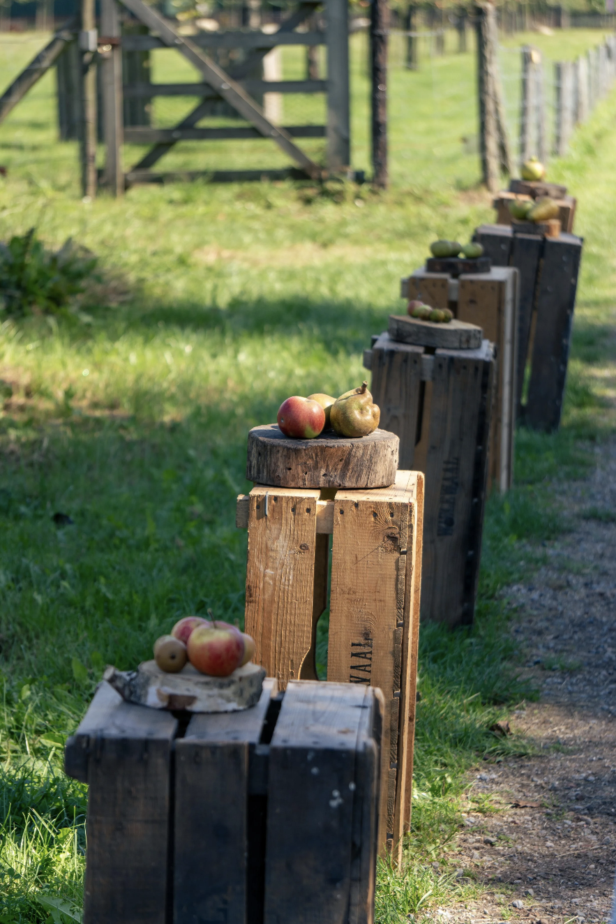 Scherm­afbeelding 2025-12-01 om 17.41.09.png