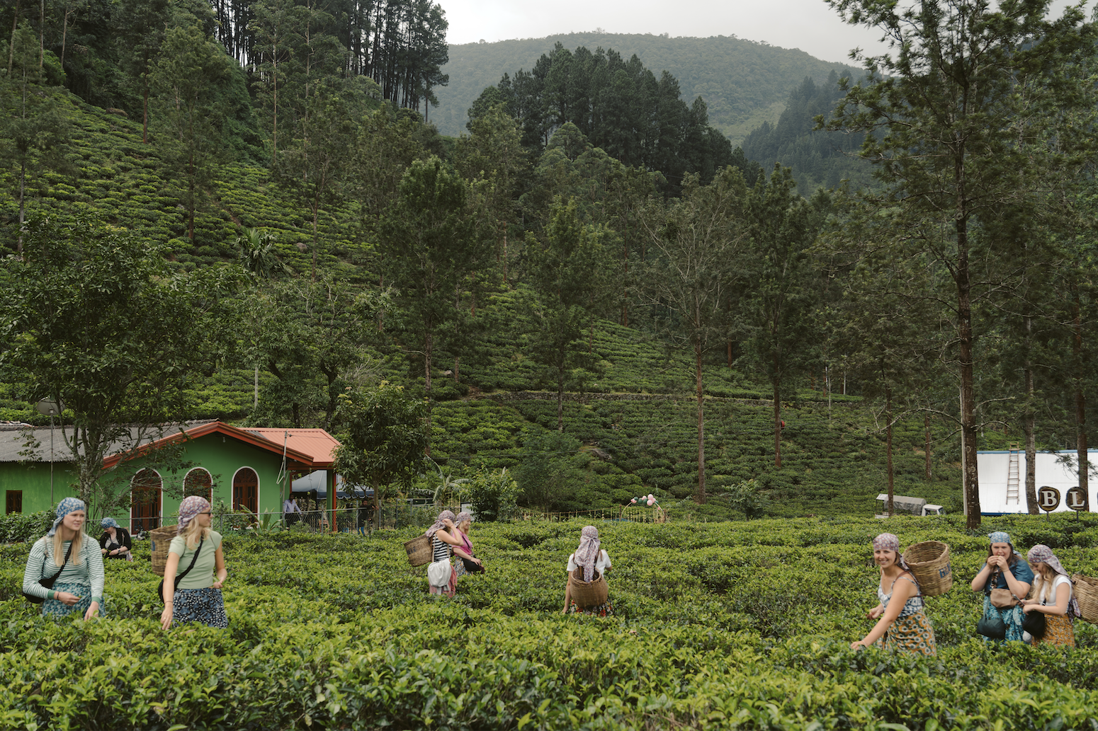 Scherm­afbeelding 2025-12-02 om 15.35.28.png