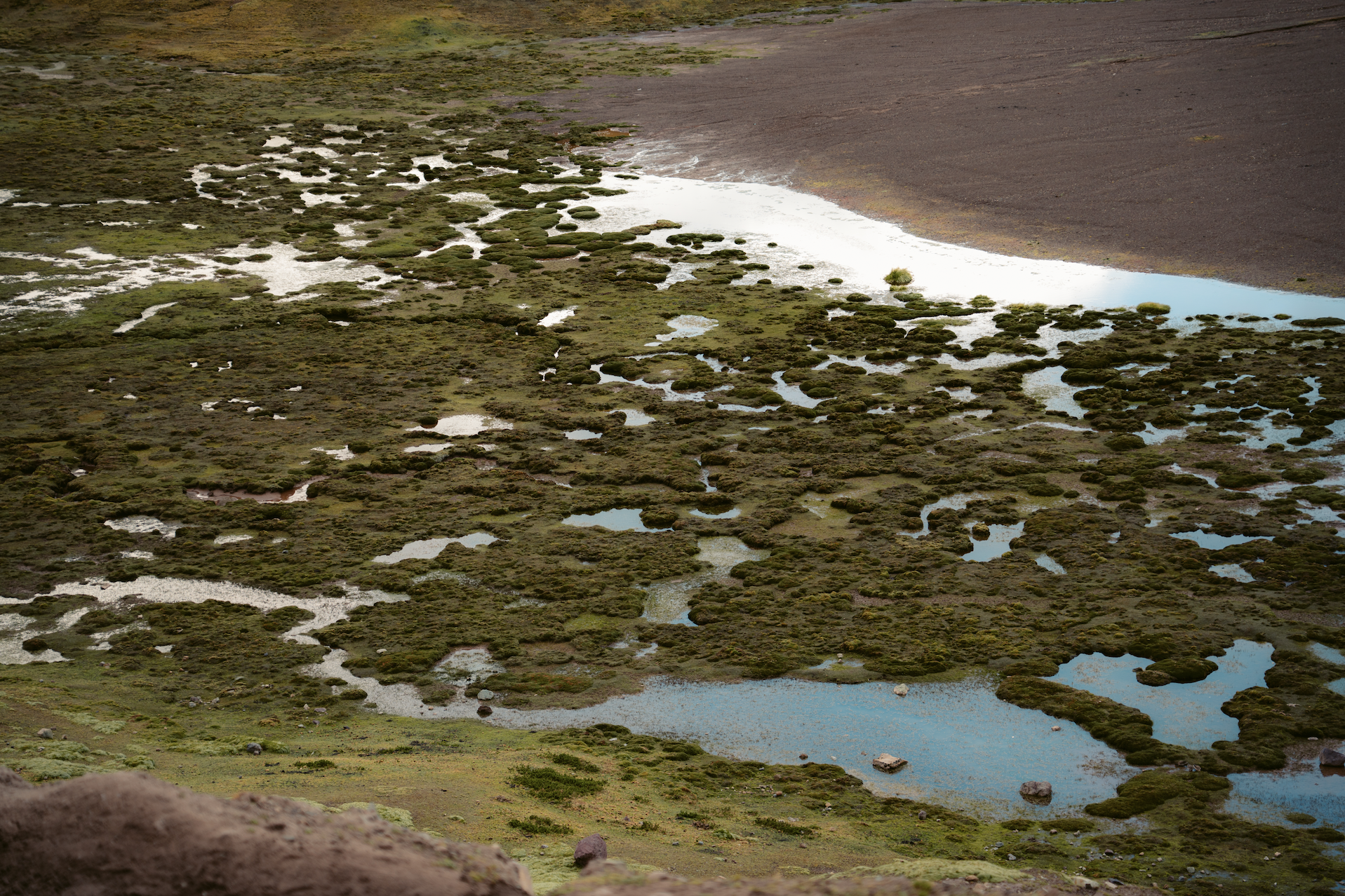 Scherm­afbeelding 2025-12-02 om 15.20.34.png