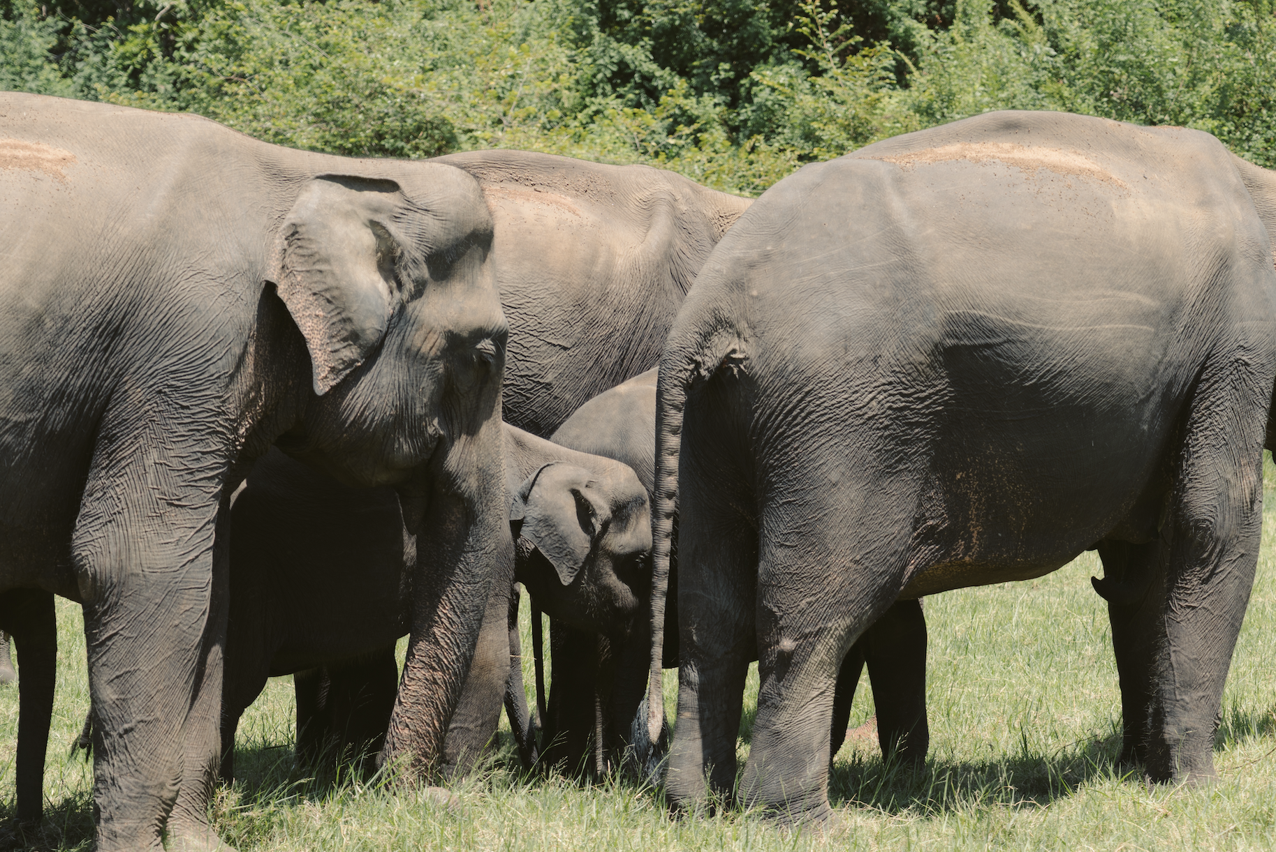 Scherm­afbeelding 2025-12-02 om 15.33.38.png