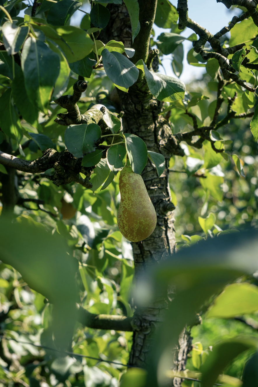 Scherm­afbeelding 2025-12-01 om 17.40.33.png