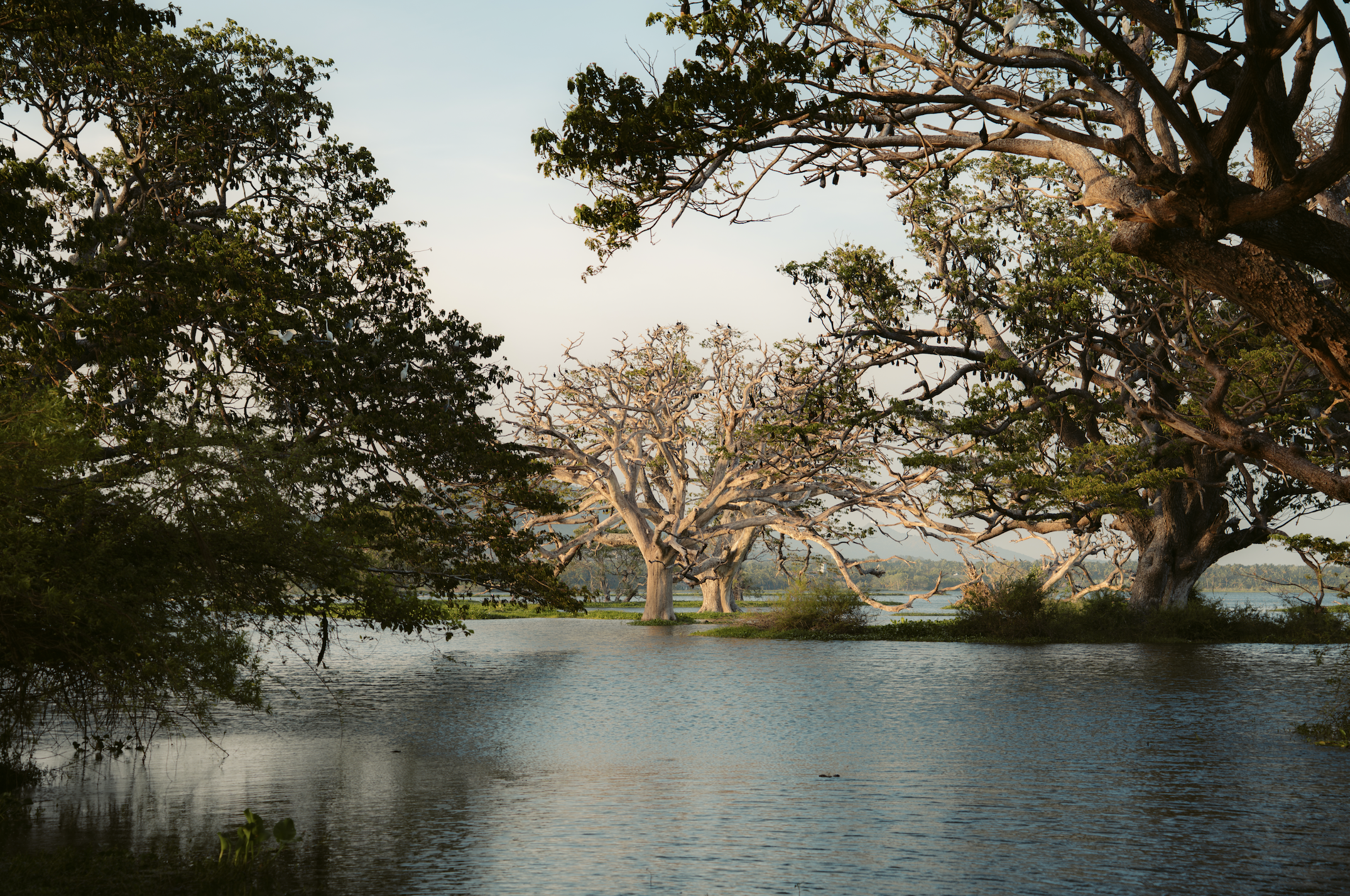 Scherm­afbeelding 2025-12-02 om 15.37.01.png