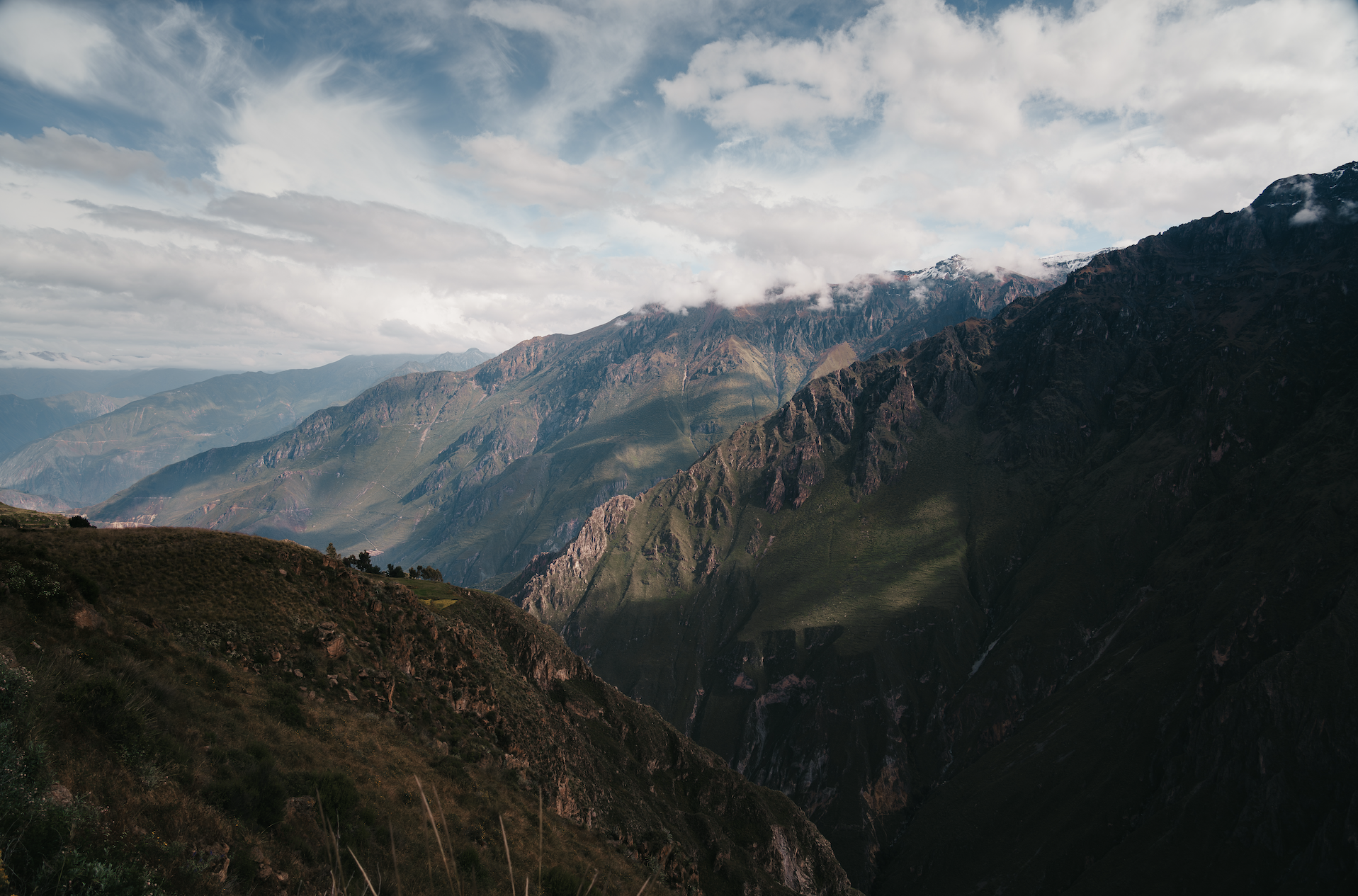 Scherm­afbeelding 2025-12-02 om 14.37.00.png