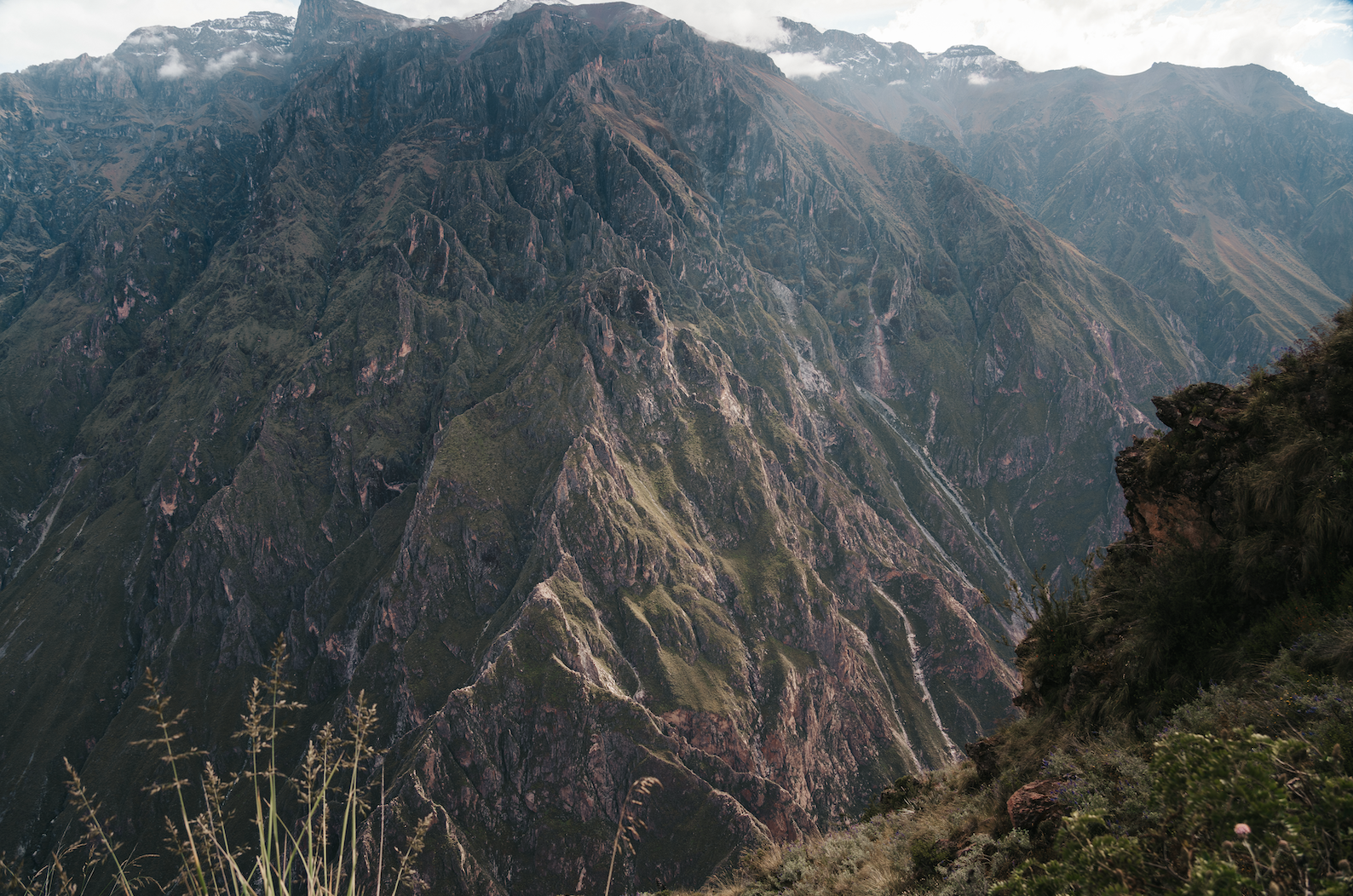 Scherm­afbeelding 2025-12-02 om 14.36.47.png