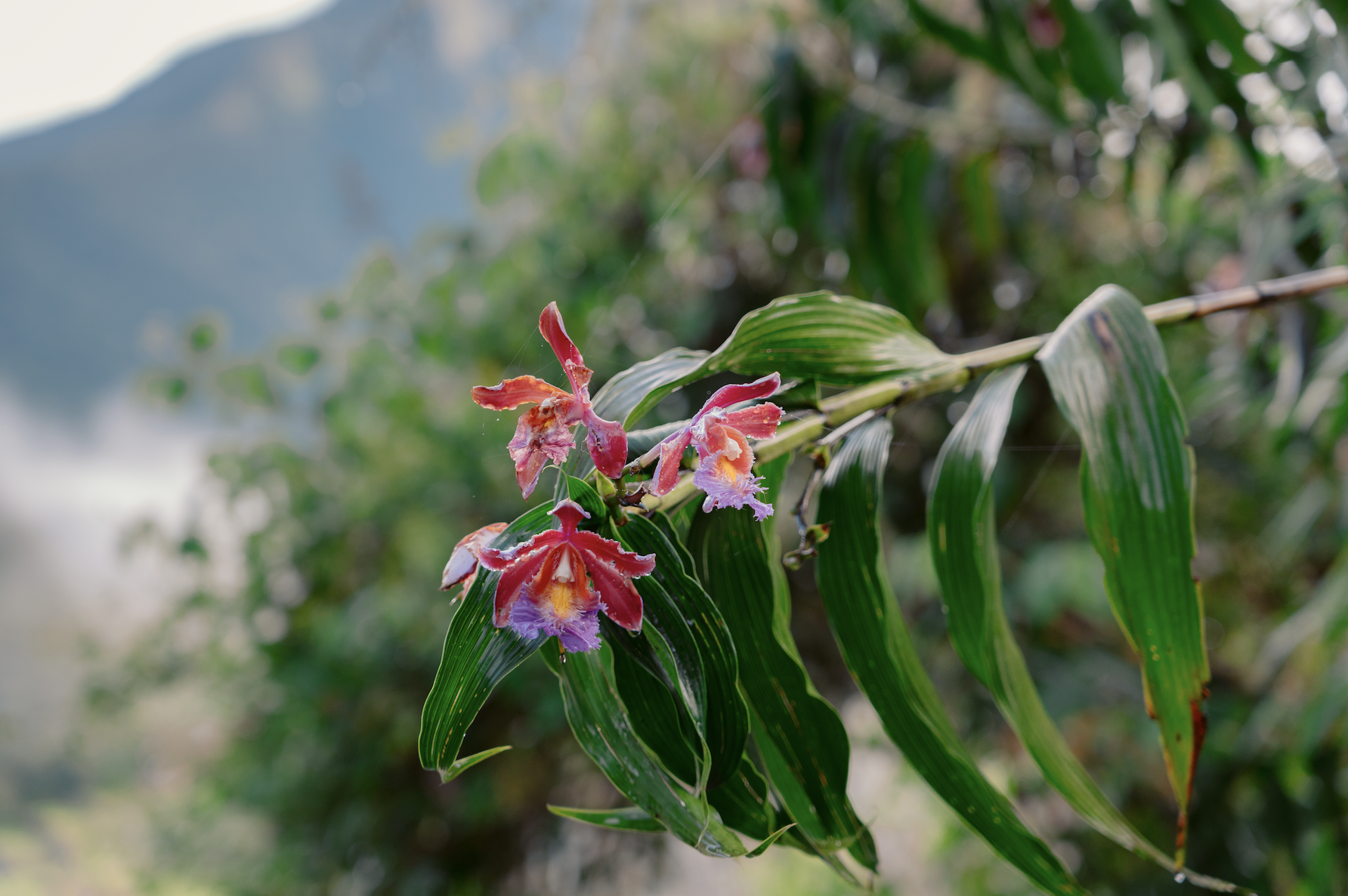 Scherm­afbeelding 2025-12-02 om 17.03.48.png