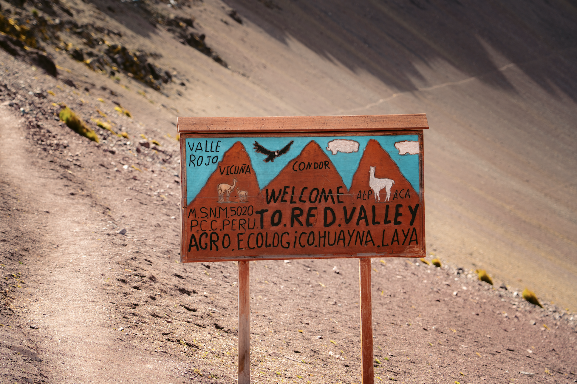 Scherm­afbeelding 2025-12-02 om 16.52.17.png