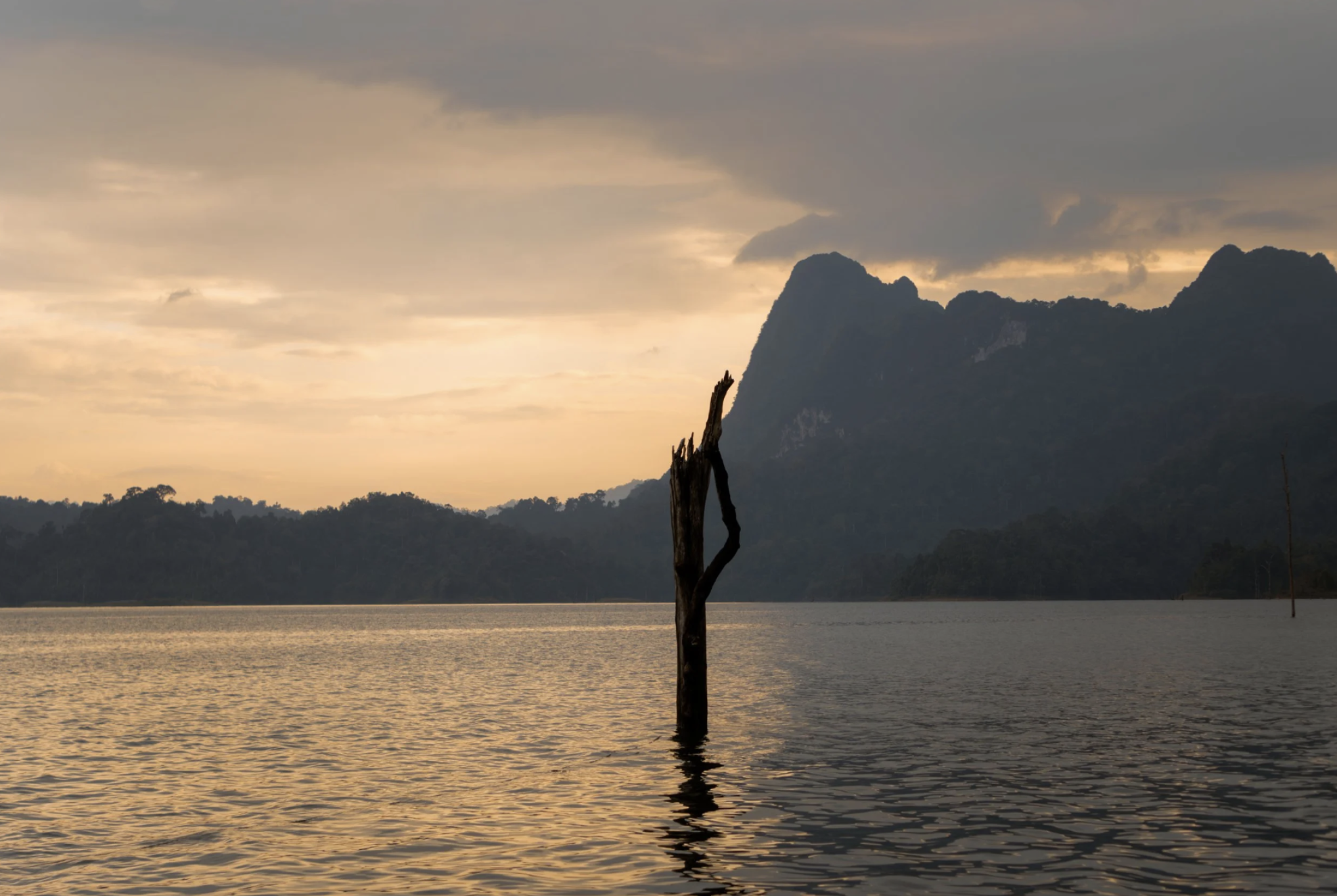 Scherm­afbeelding 2025-12-01 om 17.43.36.png