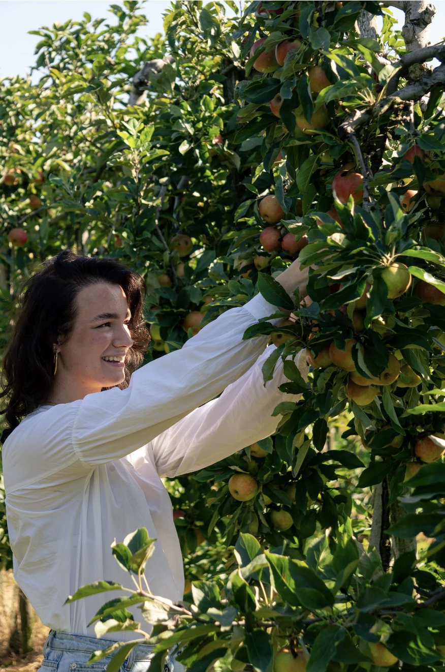 Scherm­afbeelding 2025-12-01 om 17.40.11.png