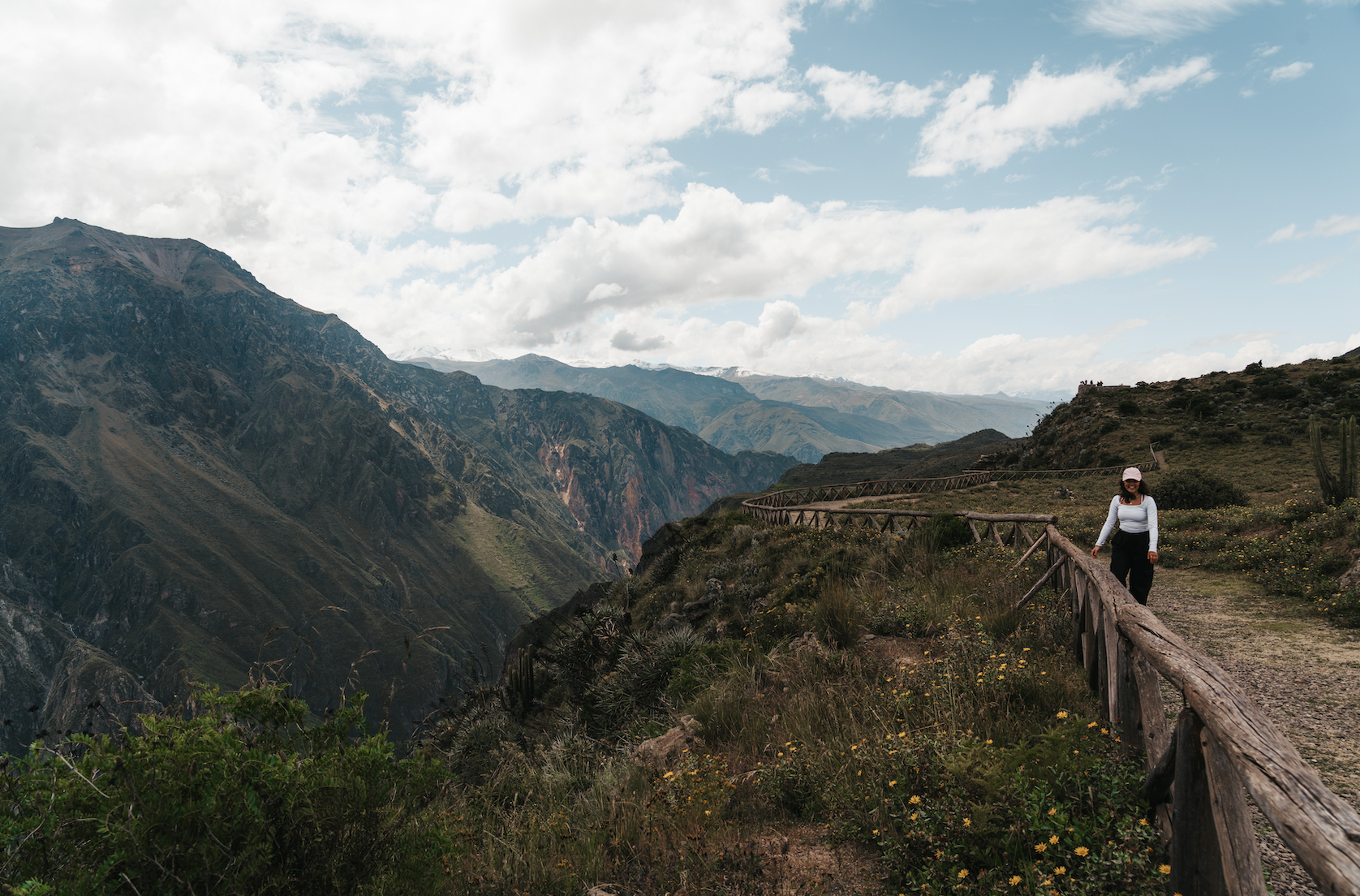 Scherm­afbeelding 2025-12-02 om 14.35.51.png