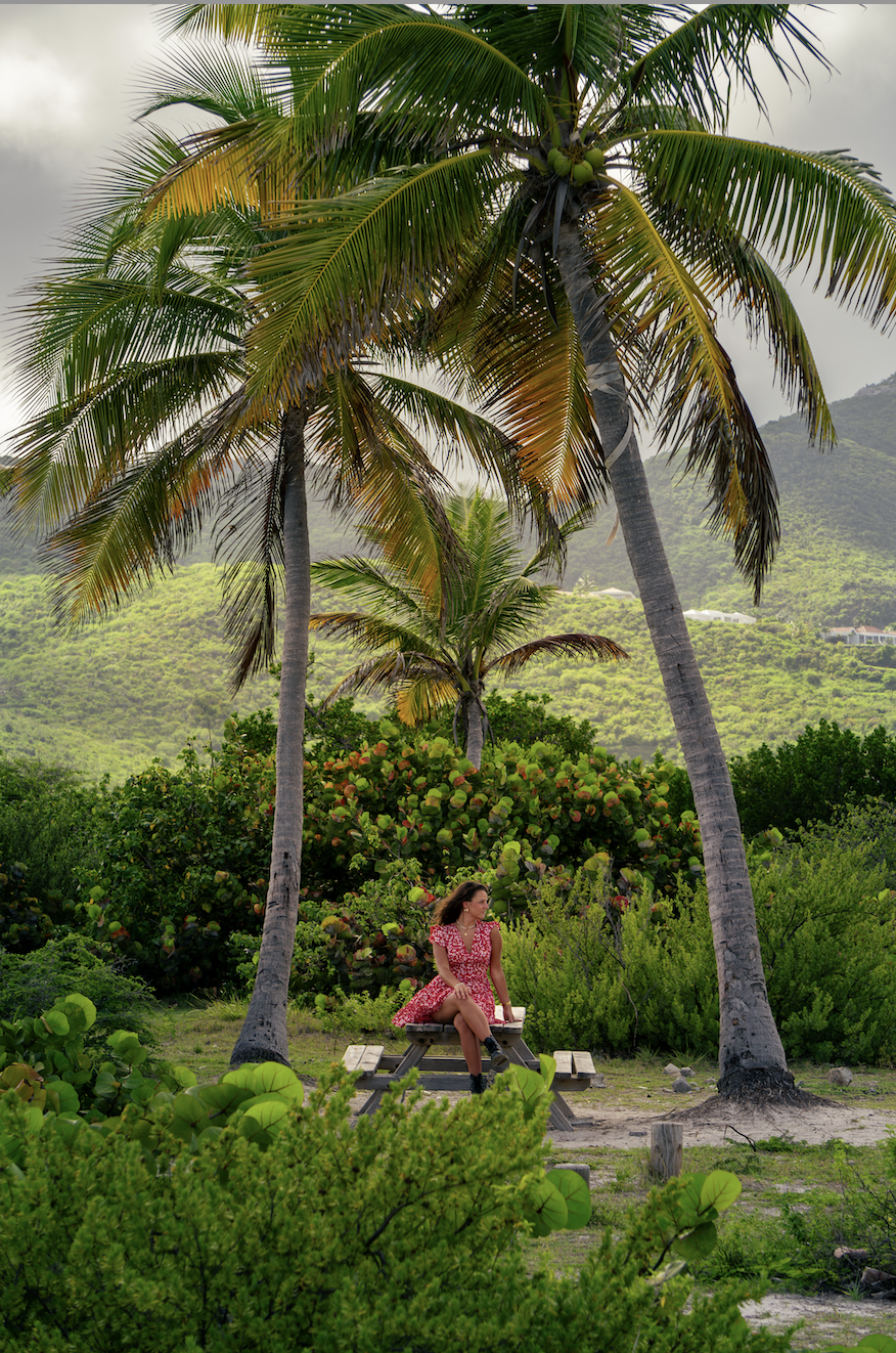 Scherm­afbeelding 2025-12-01 om 17.00.25.png