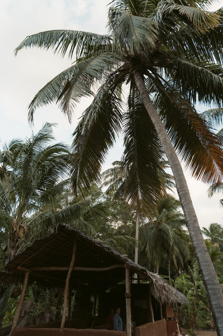 Scherm­afbeelding 2025-12-02 om 17.25.33.png