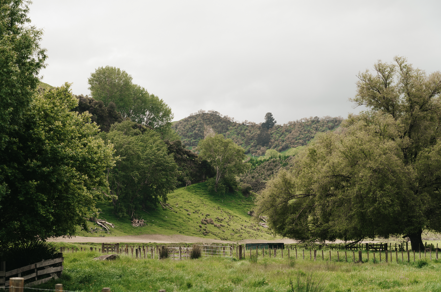 Scherm­afbeelding 2025-12-03 om 14.57.59.png