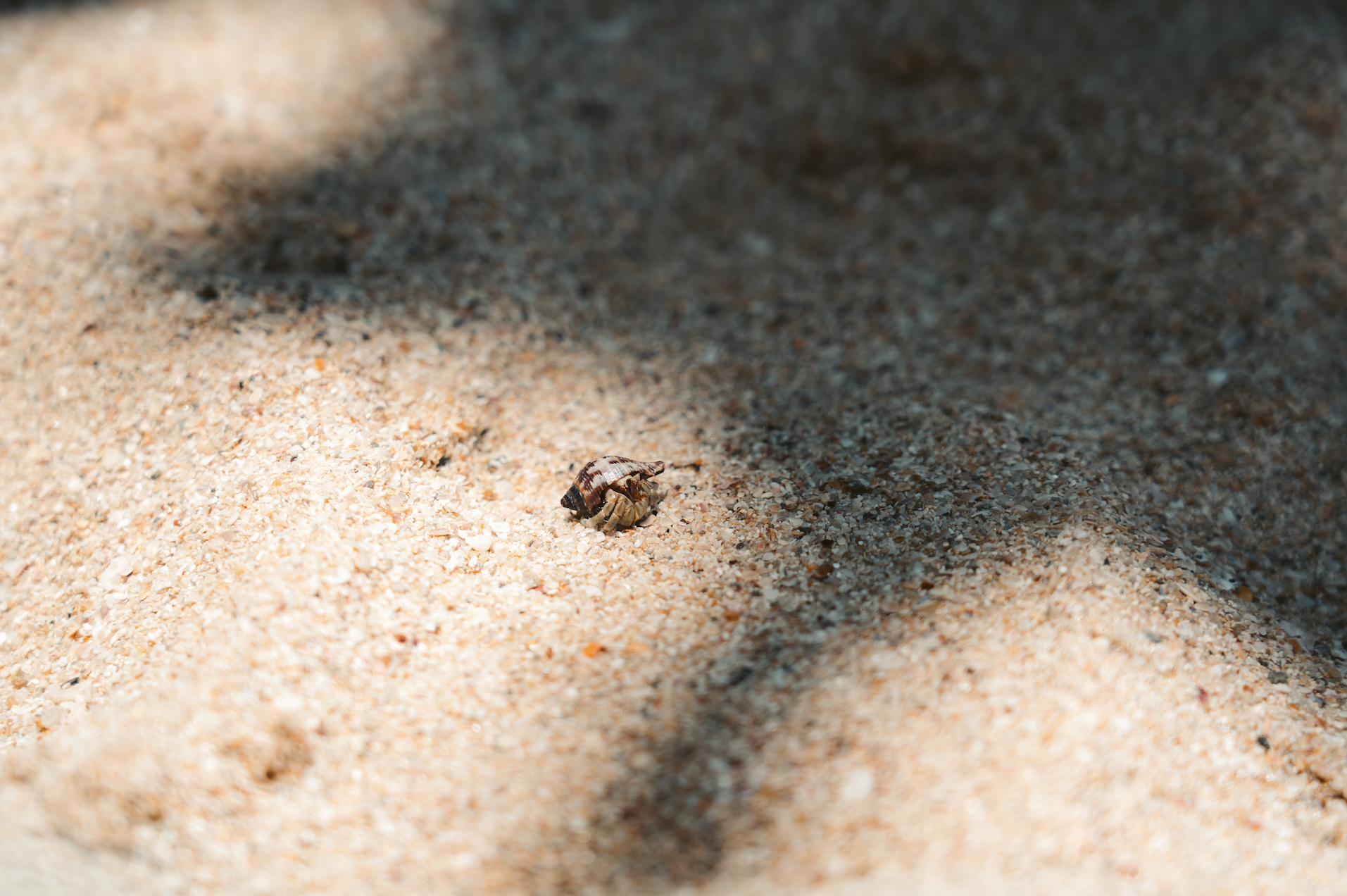 Scherm­afbeelding 2025-12-02 om 15.37.18.png