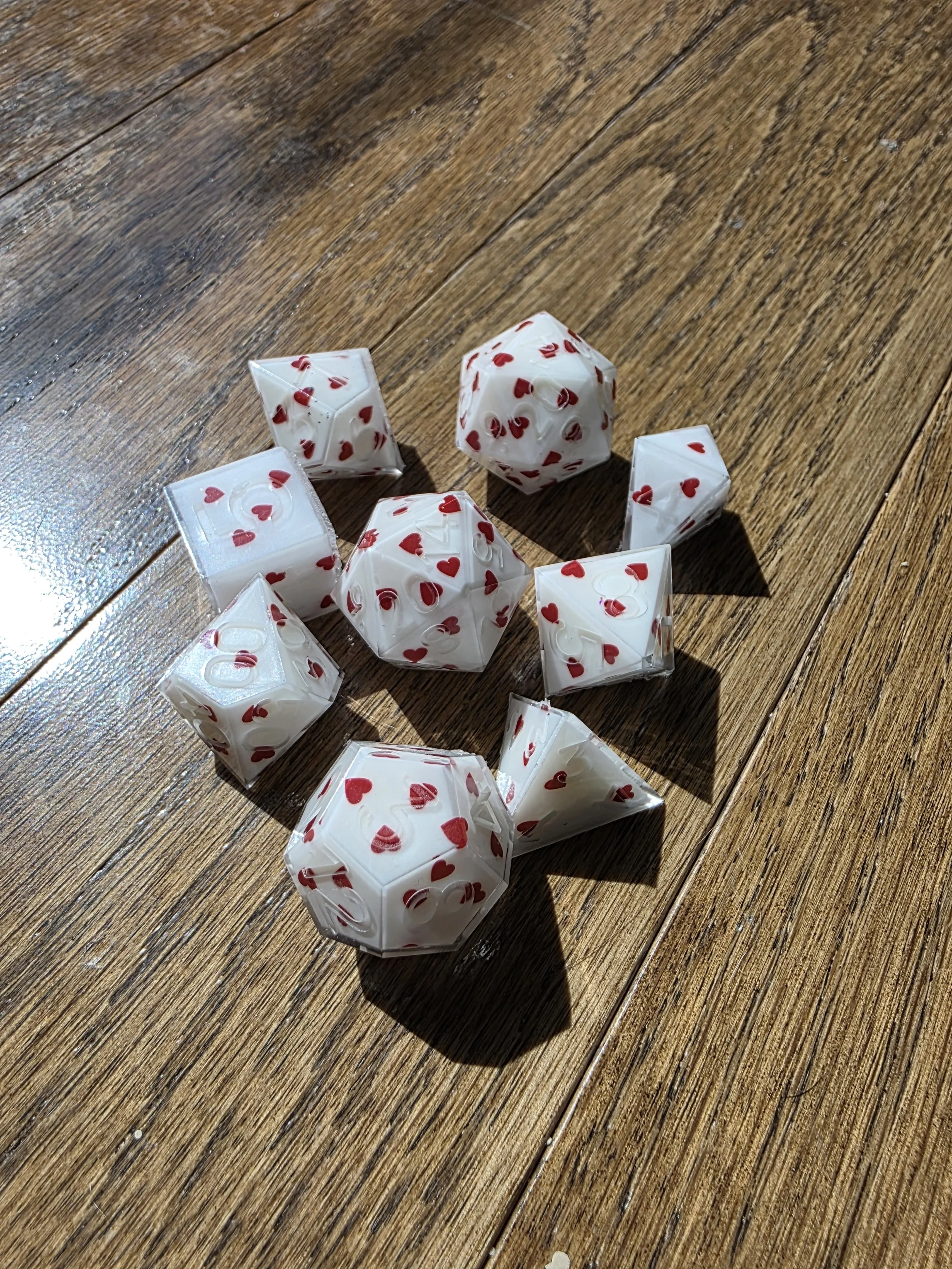 20260827_110645.jpg