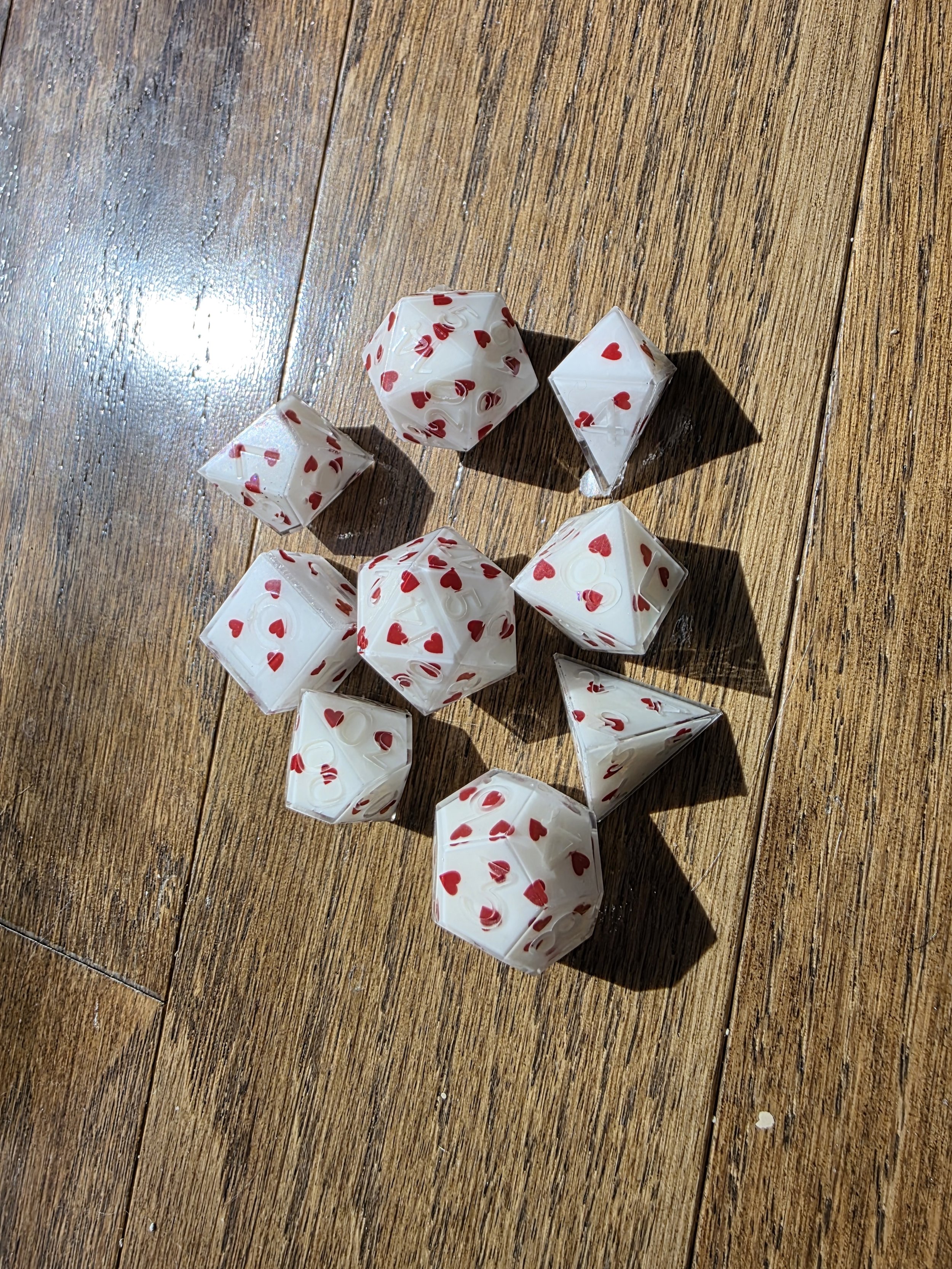 20260827_110137.jpg