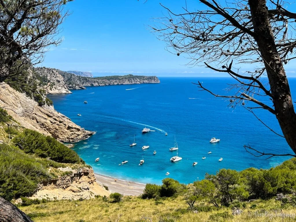 Bienvenidos a Mallorca