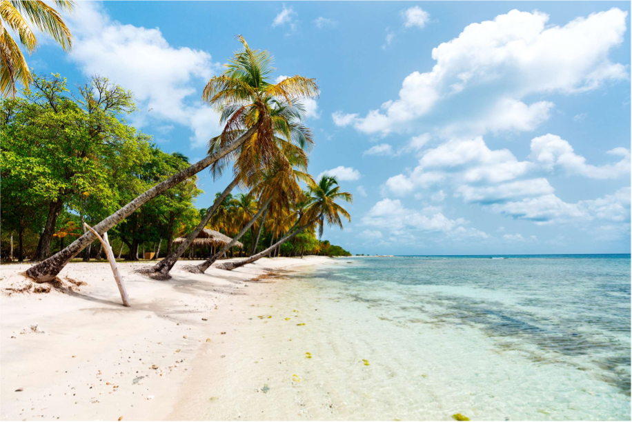 St. Vincent and the Grenadines