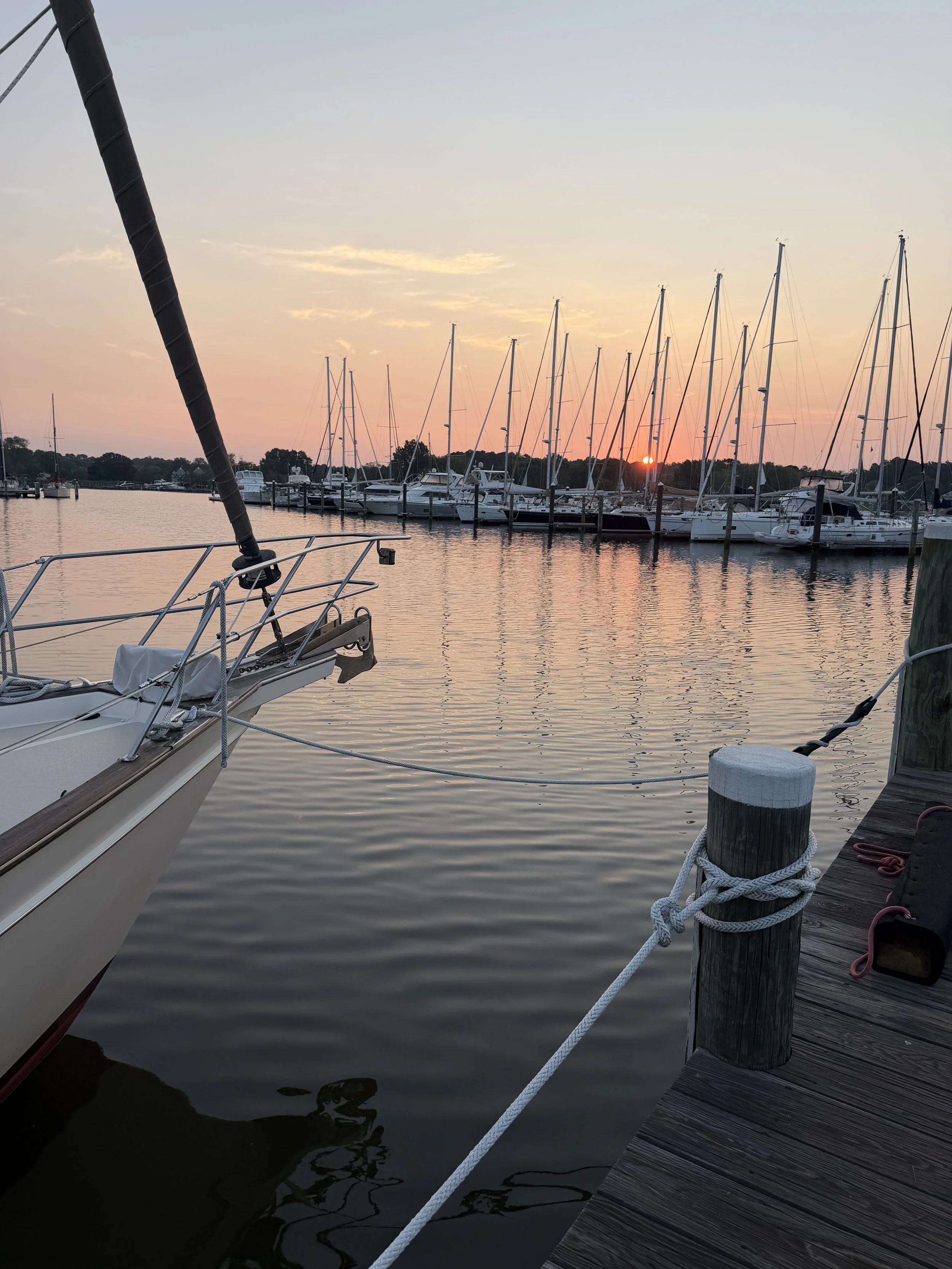 Lazing around on the Bay