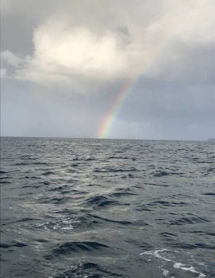 Rainbows were appreciated