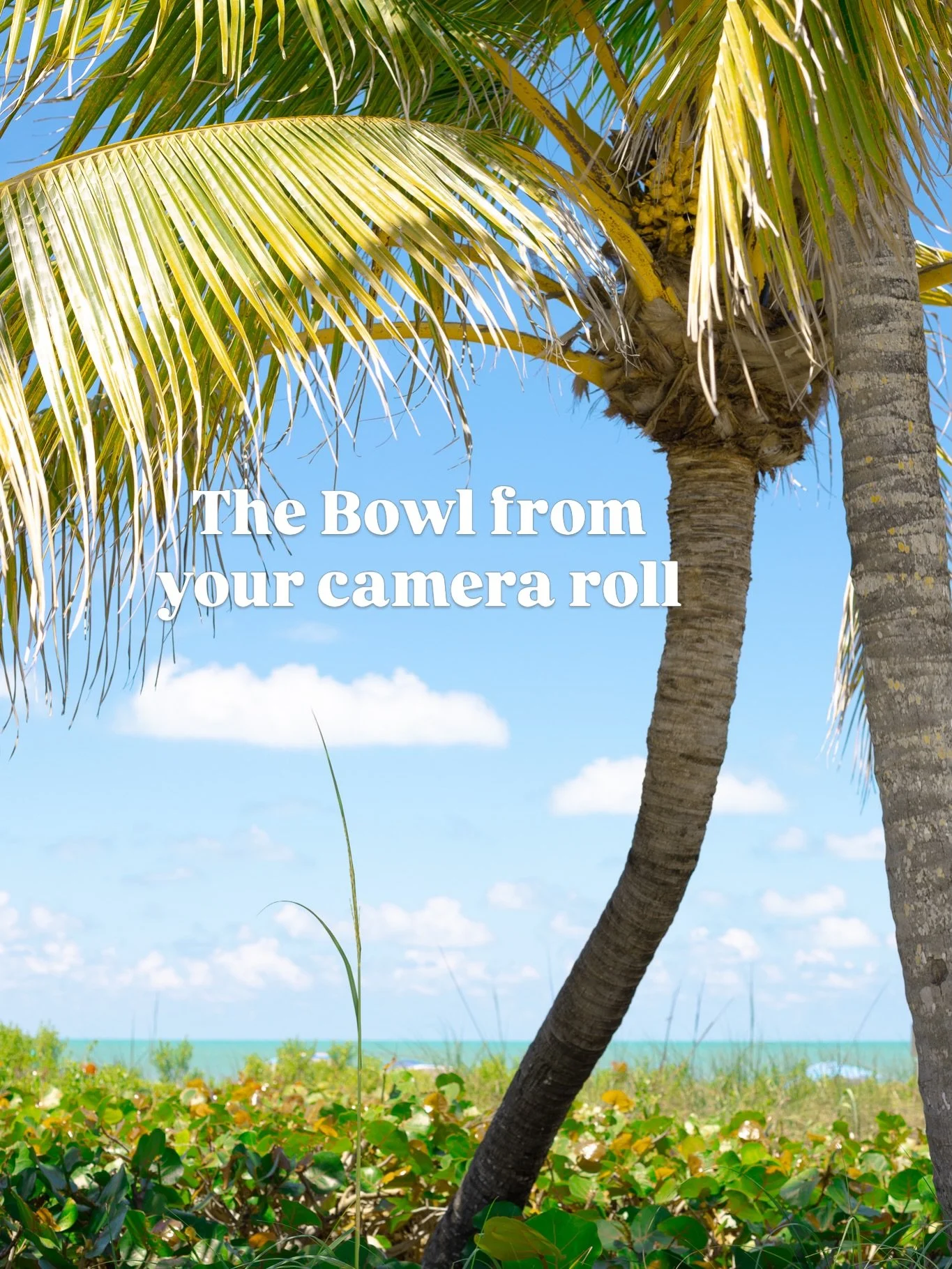 we 🫶 seeing your bowl pics! Which location are you stopping in this week? 🌴