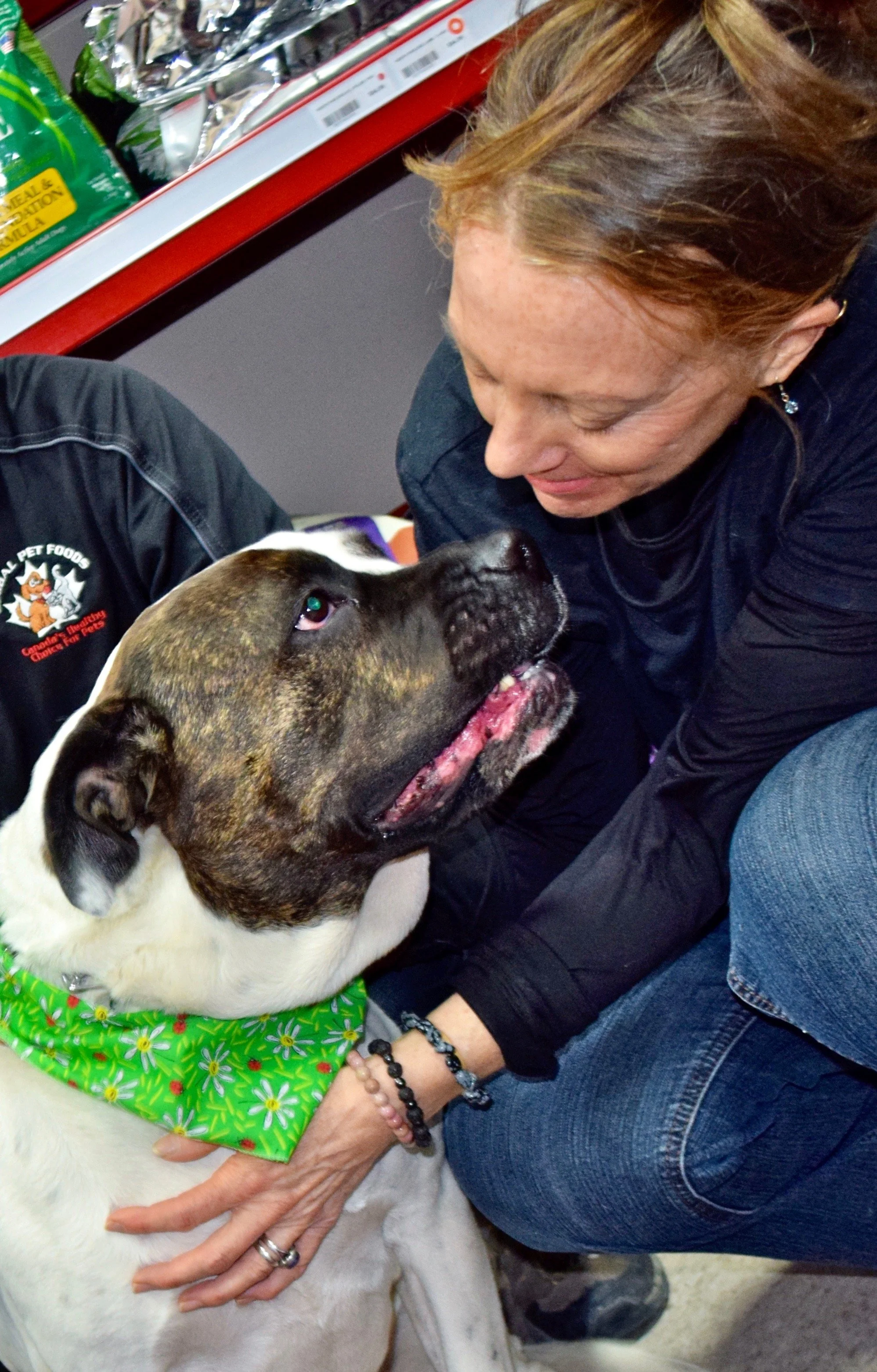 Get Involved — Animal Angel Rescue Foundation
