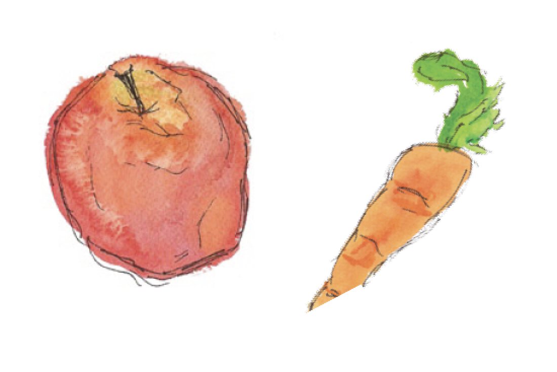 Screen Shot 2024-07-26 at 8.12.40 PM.png