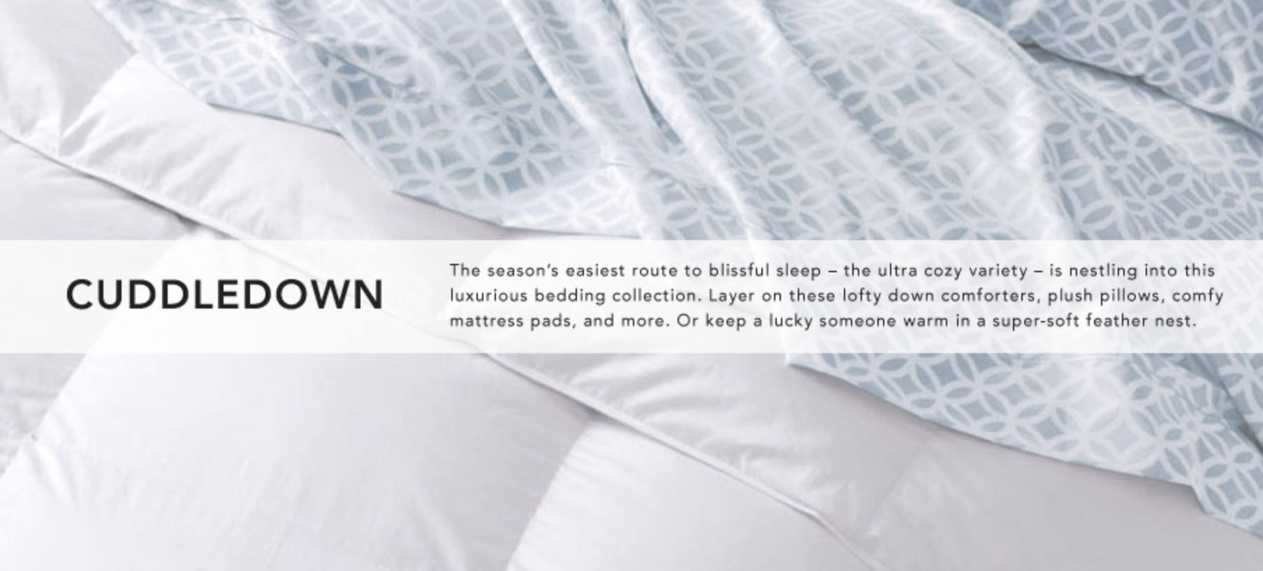 Screen Shot 2024-07-26 at 7.27.33 PM.png