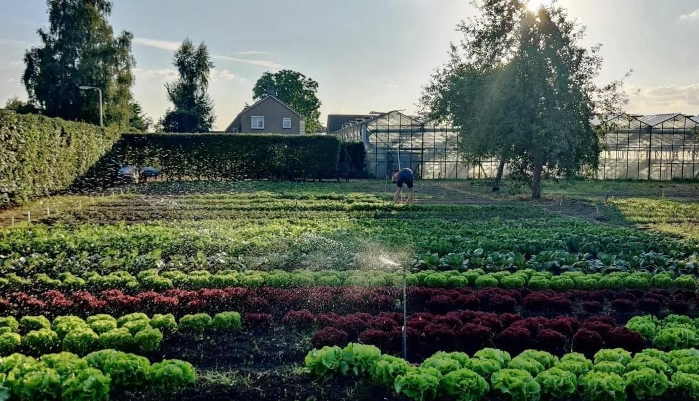 Moestuin van klooster Huissen Arnhem waar klooster schrijfretraite Heb het Hart plaatsvindt