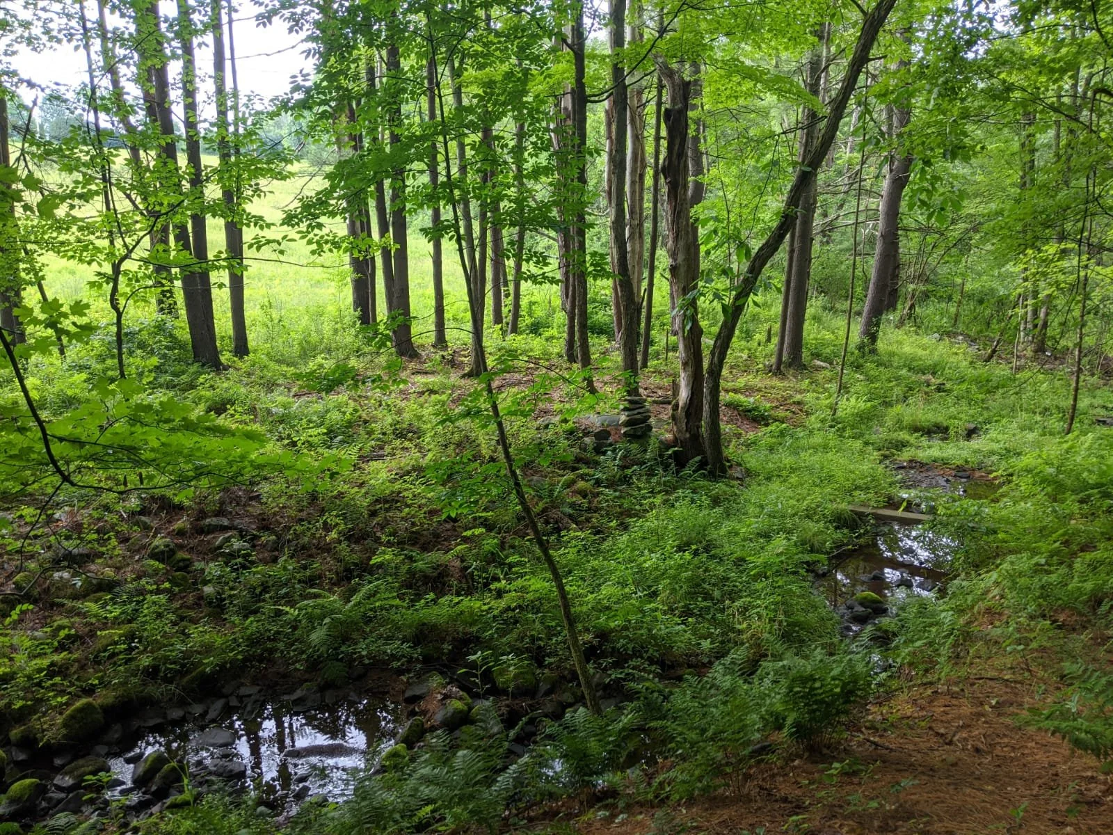 Set on 40 acres of trails, streams, forest and pond
